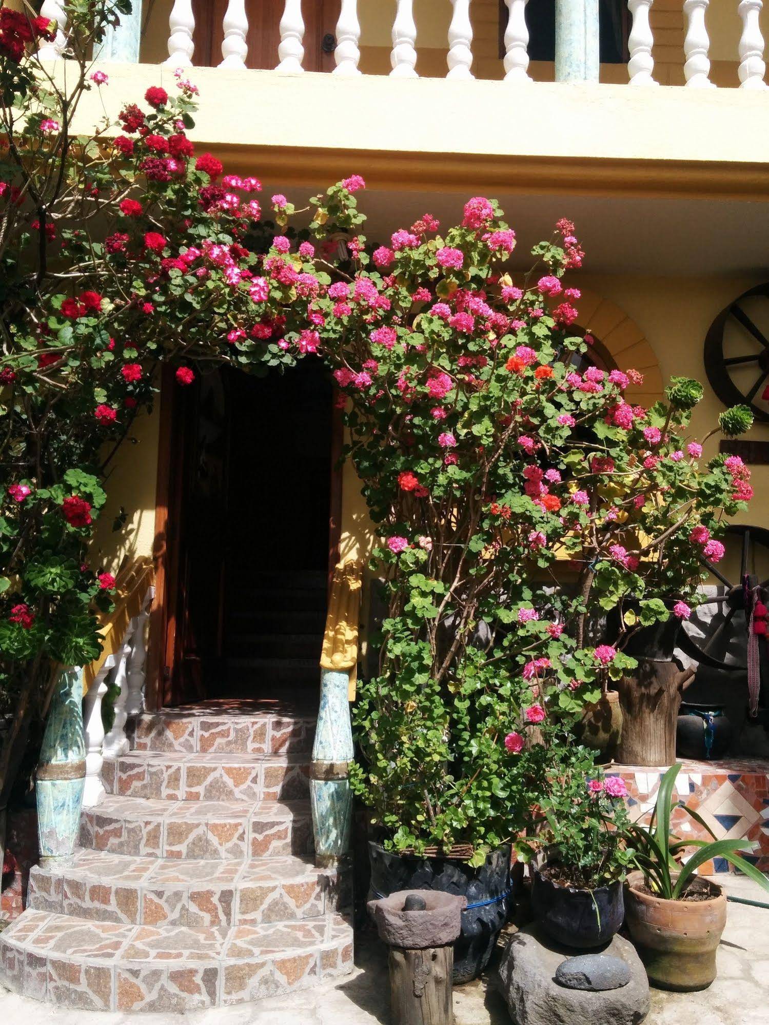 Hostal Curiñan