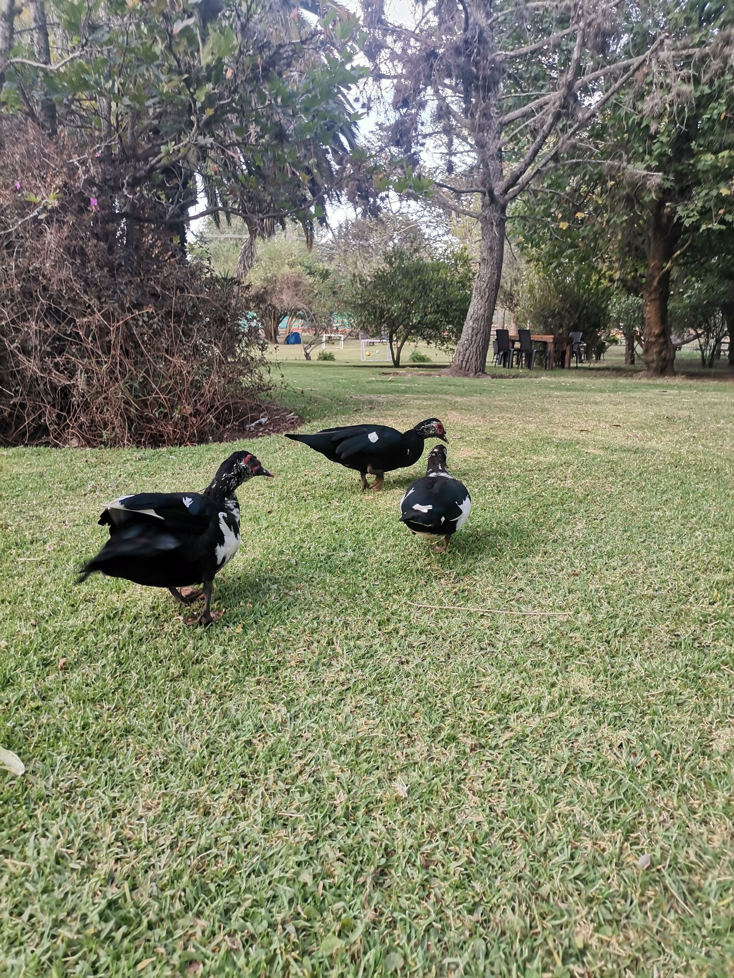 La Granja De Papa Alberto