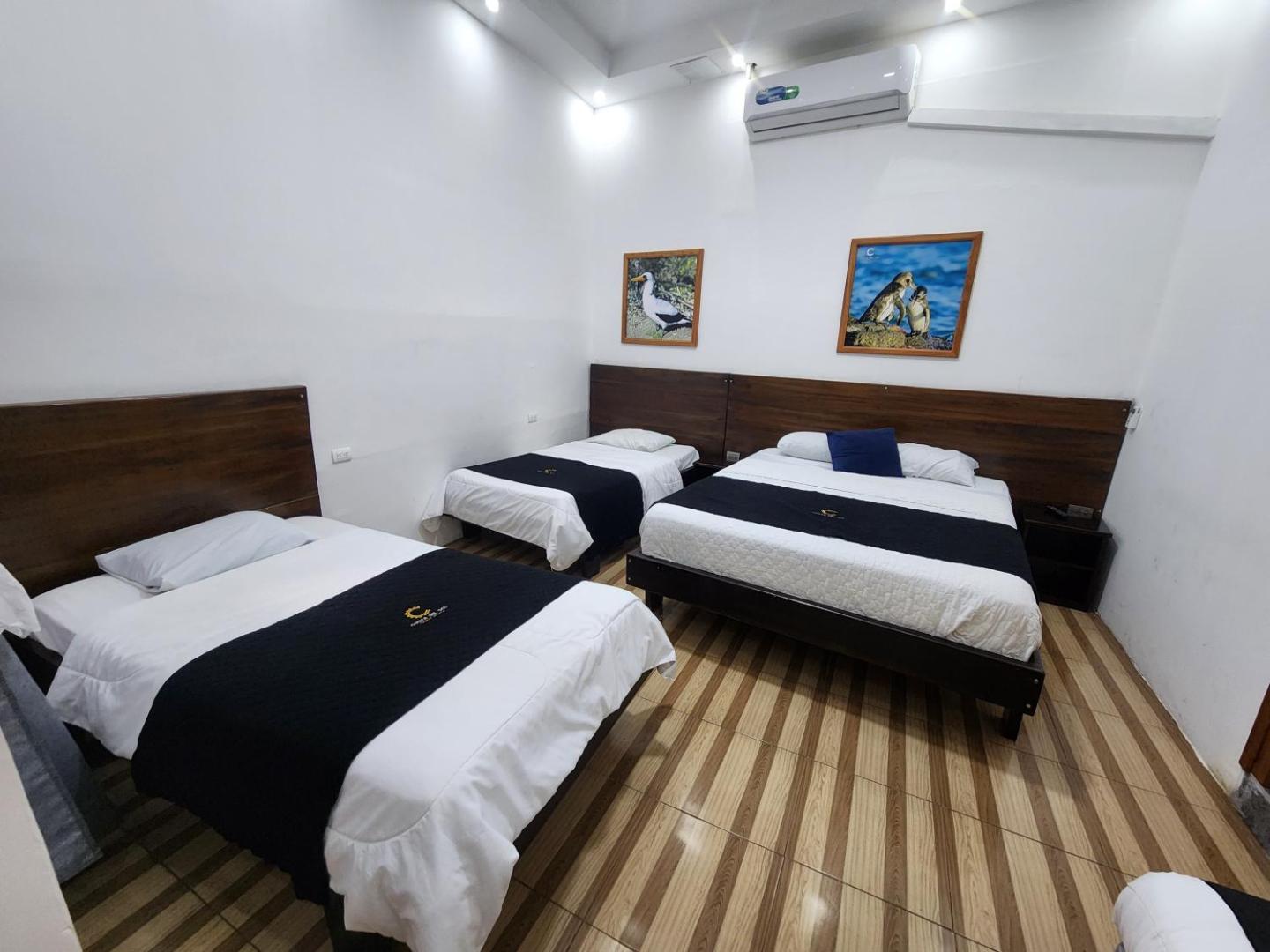 Costa Del Sol Guest House