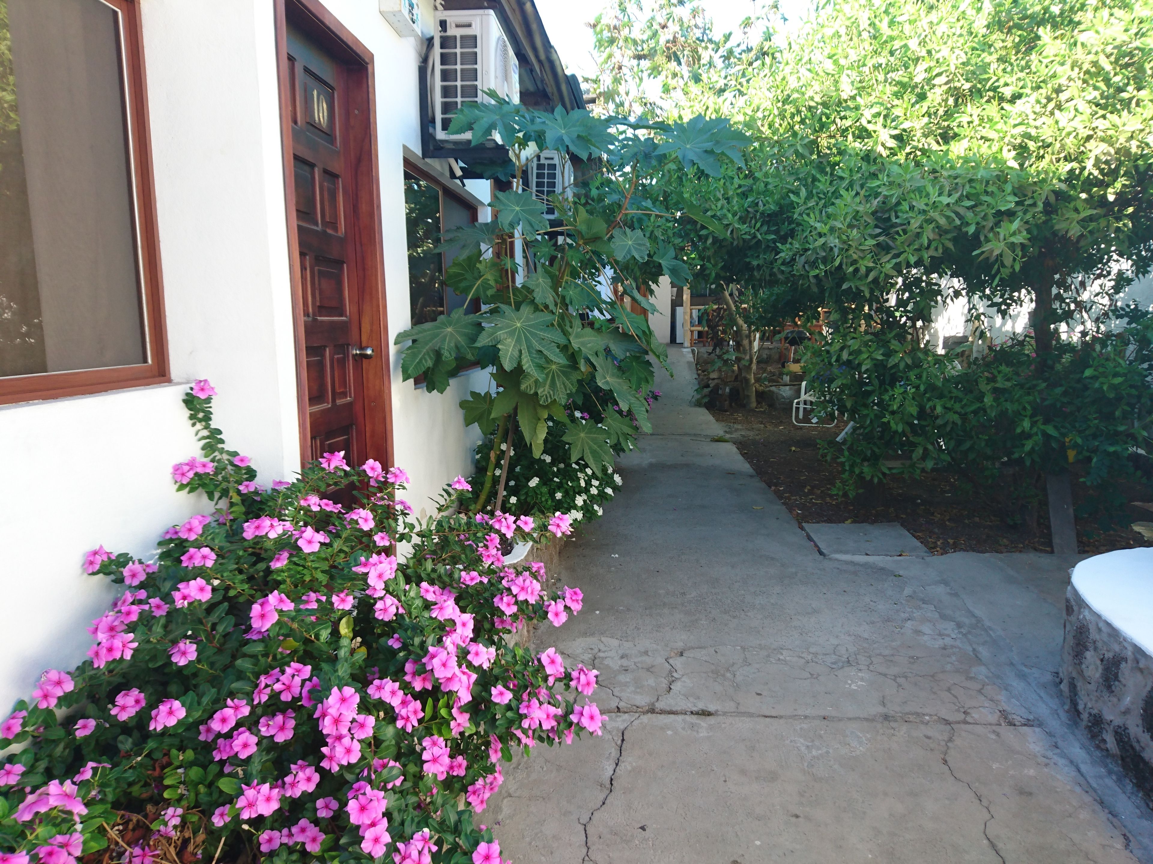Hospedaje Darwin B&B