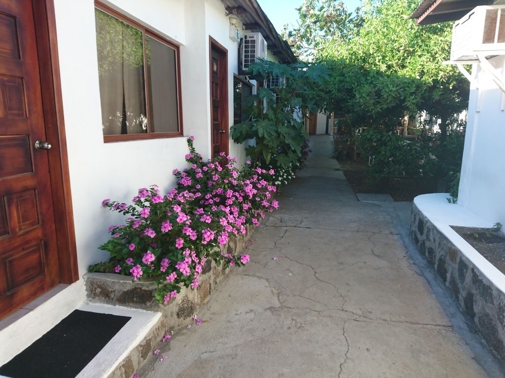 Hospedaje Darwin B&B