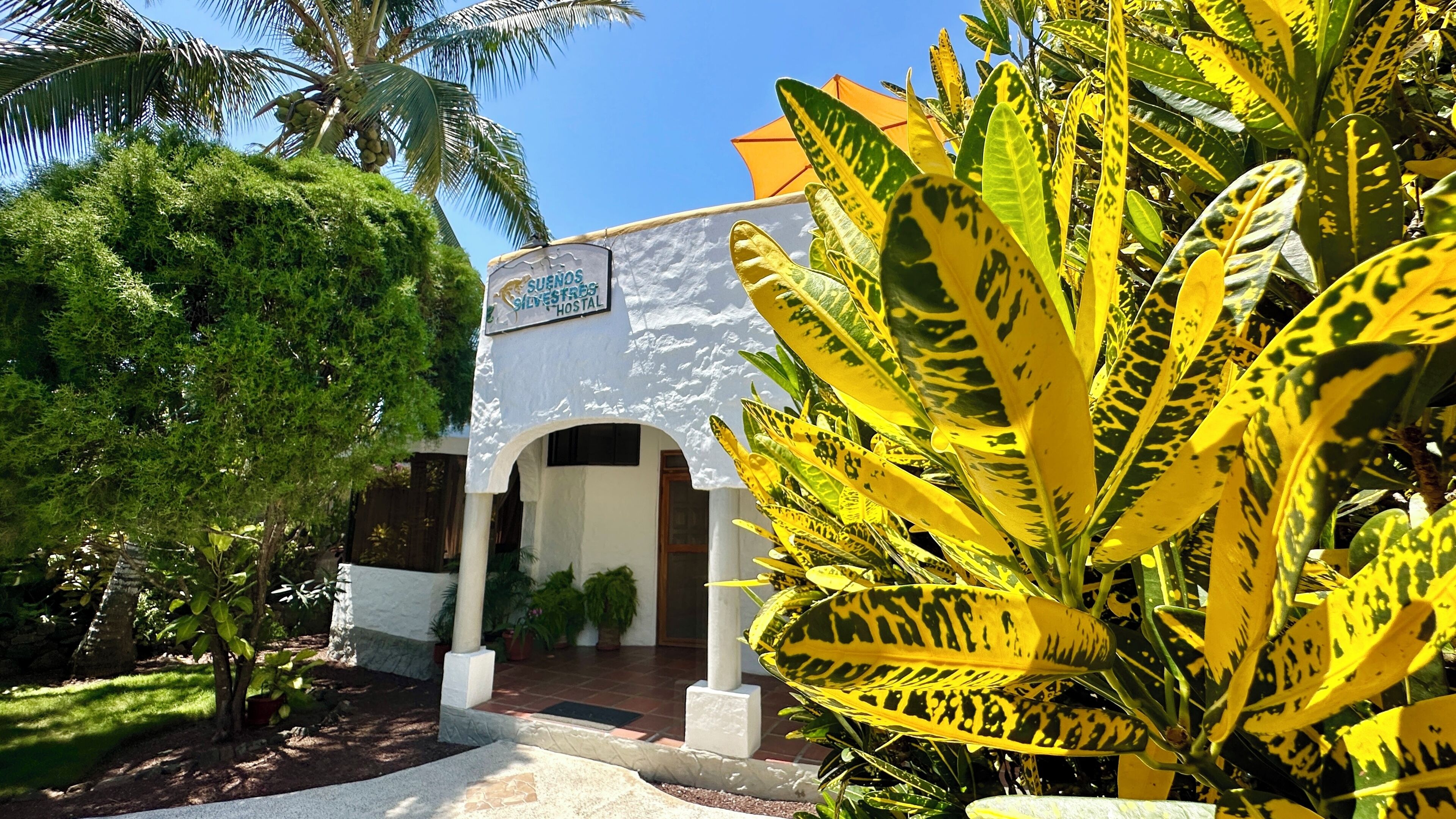 Hostal Sueños Silvestres