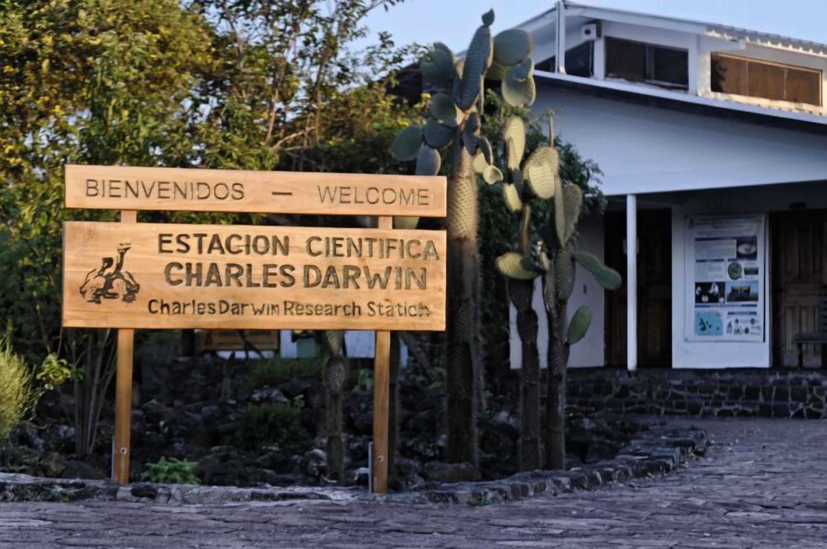 Hotel Verde Azul