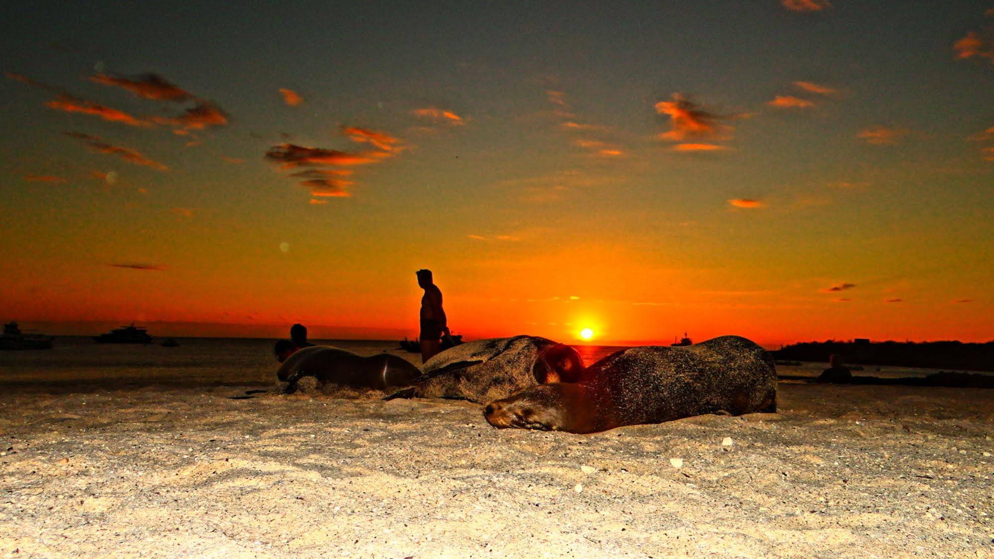 Casa Playa Mann Galapagos