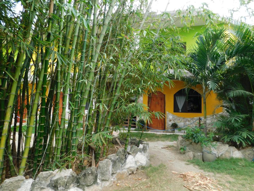 Hostal Maxima