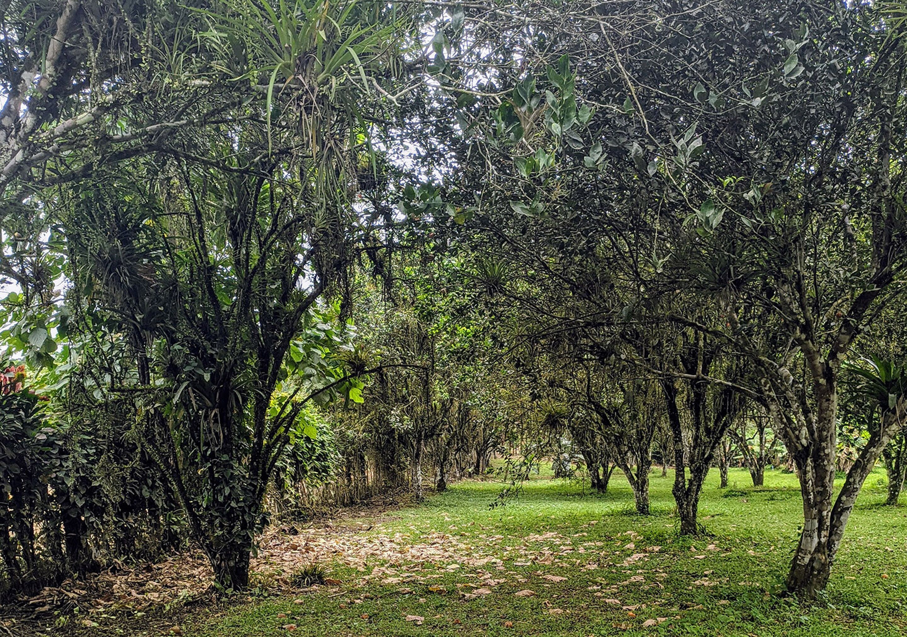 Puerto Quito Lodge by DOT Light