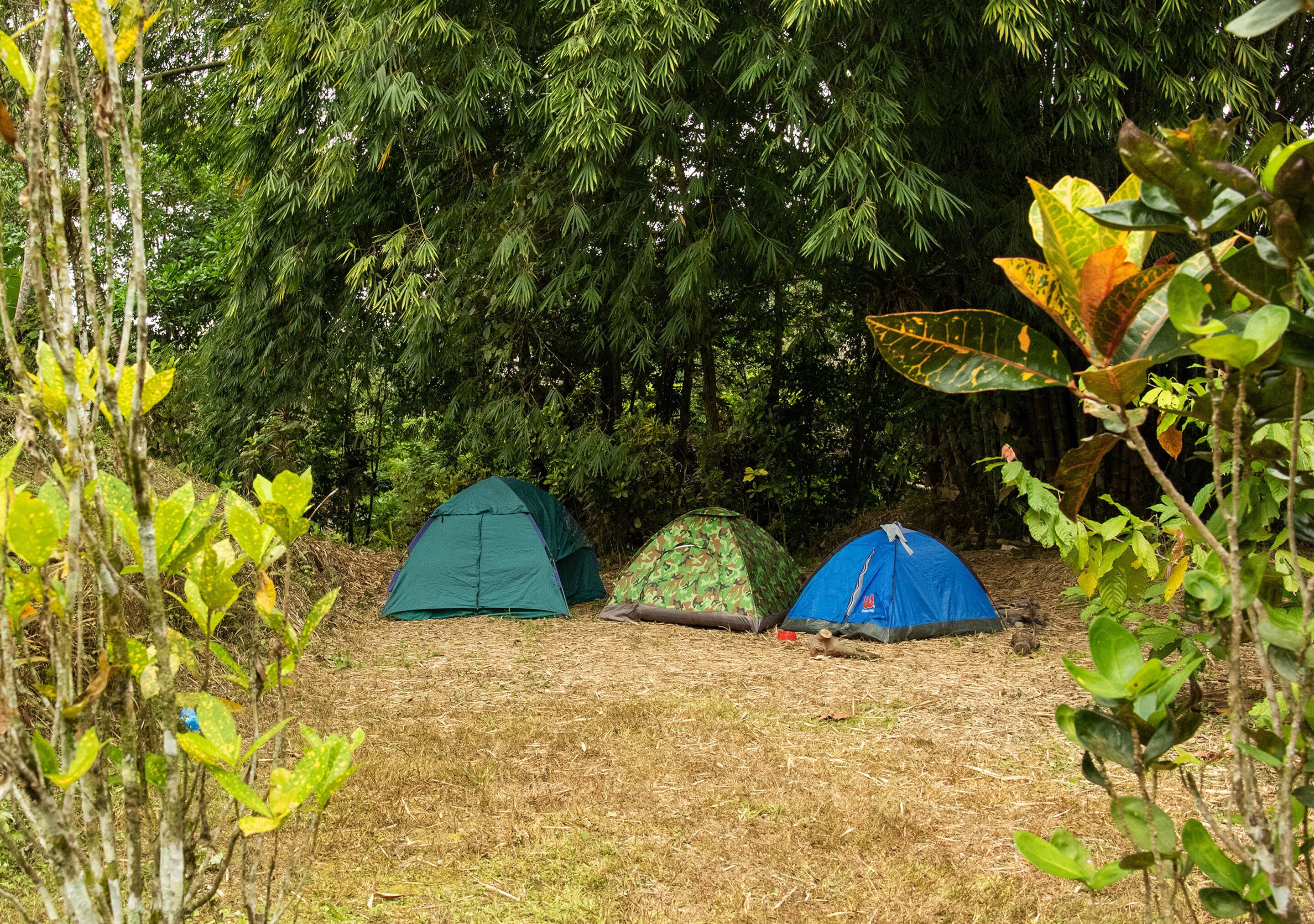 Puerto Quito Lodge by DOT Light