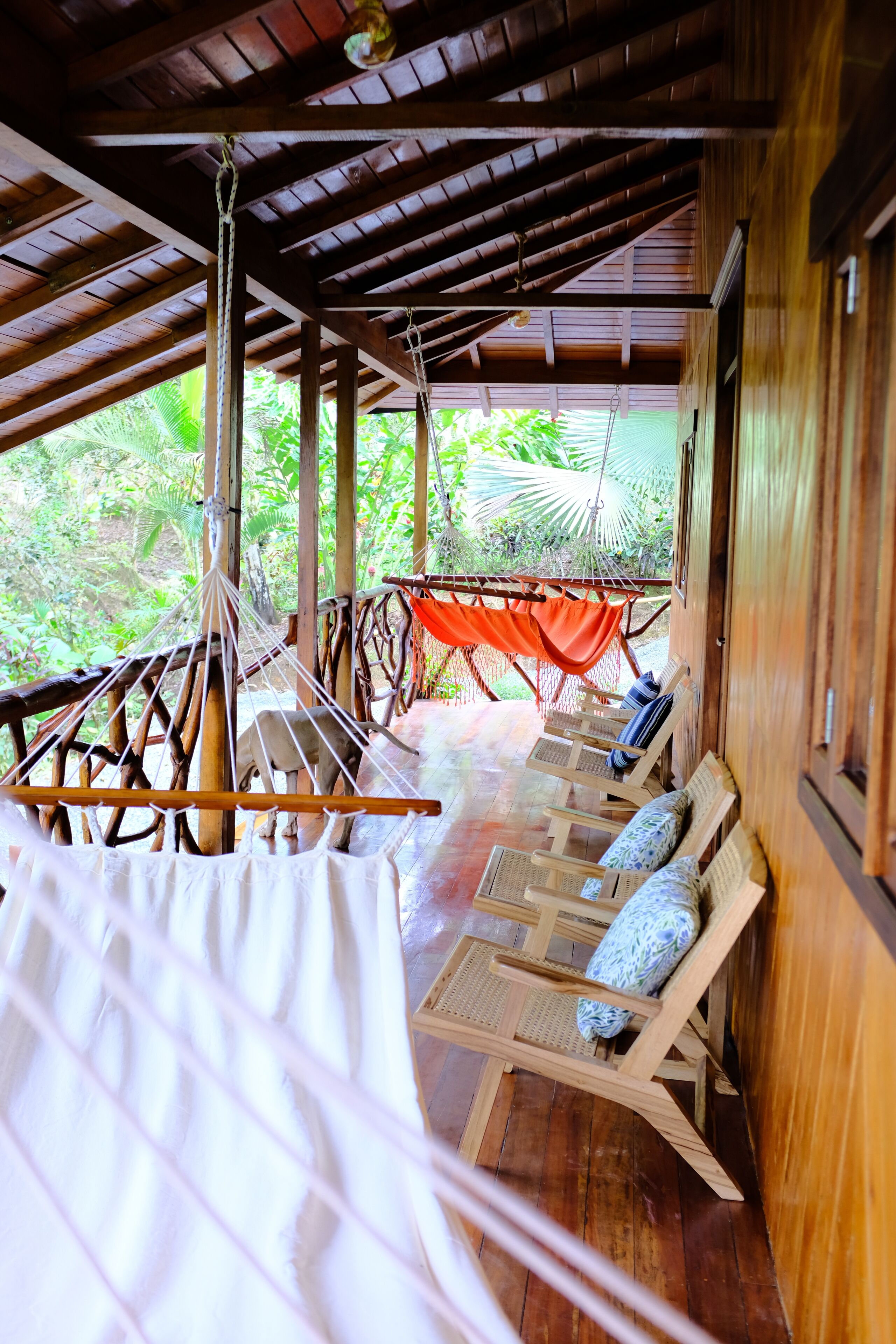The River House