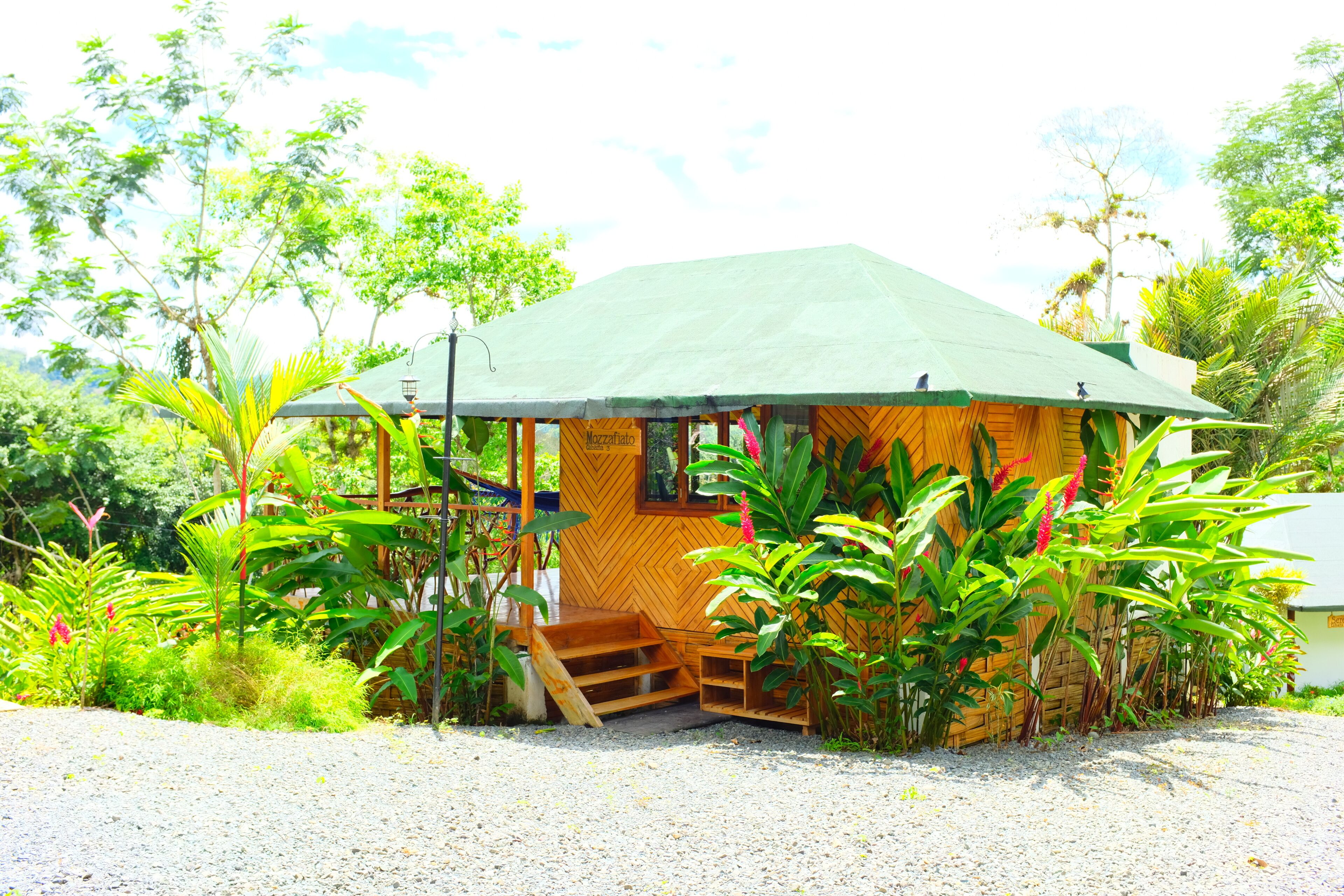 The River House