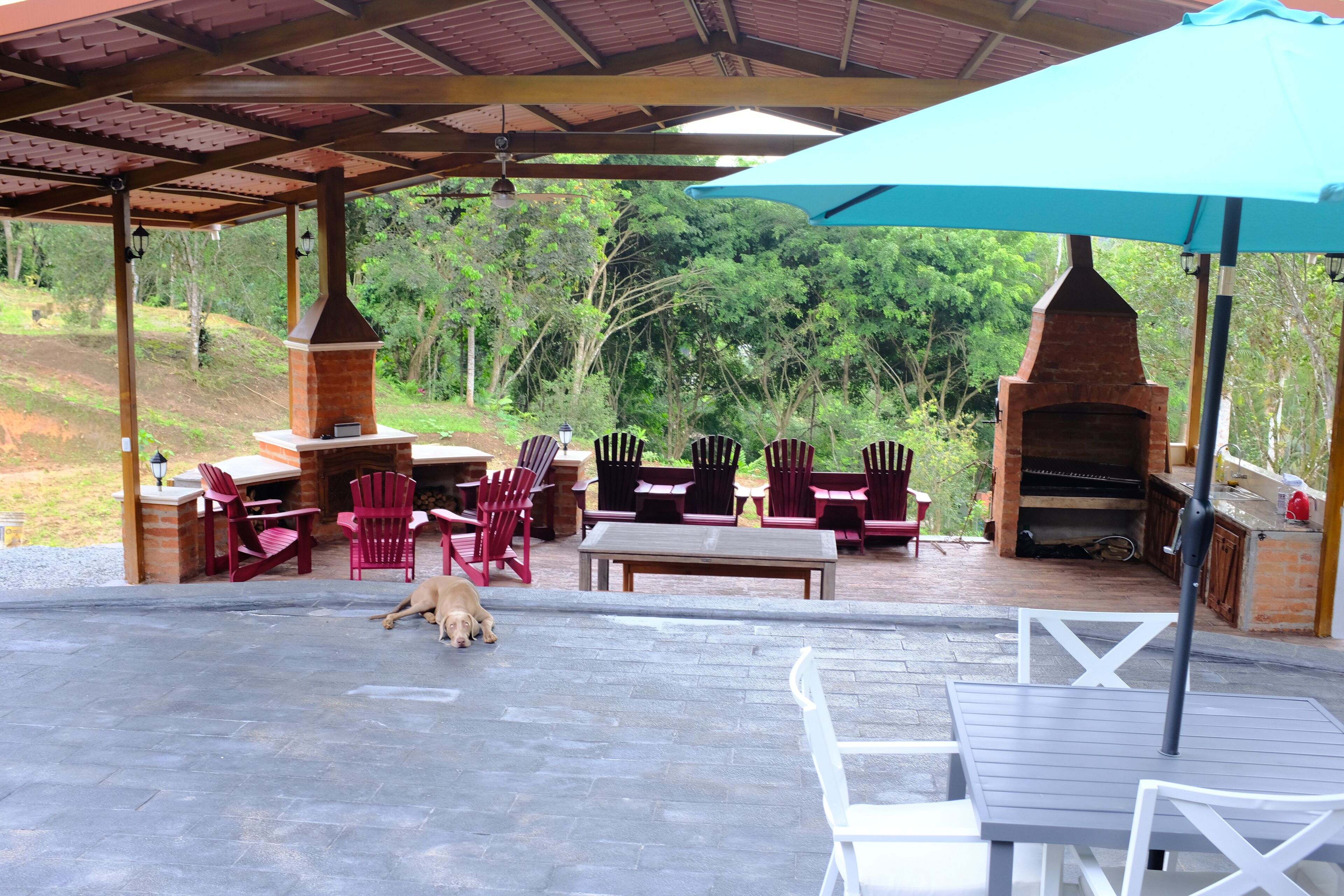 The River House