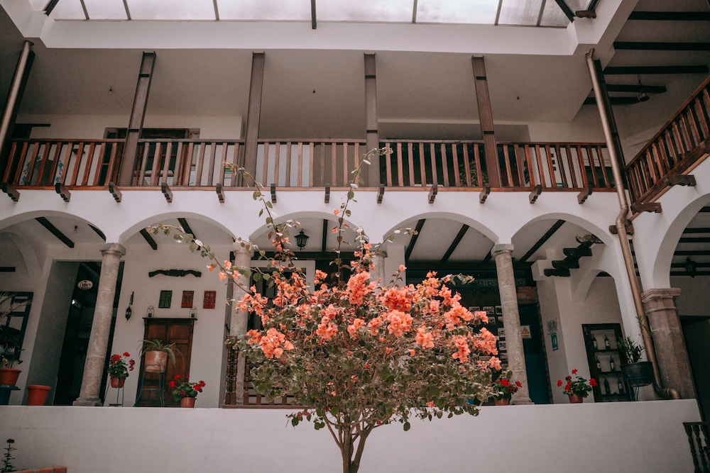 Casa Alquimia