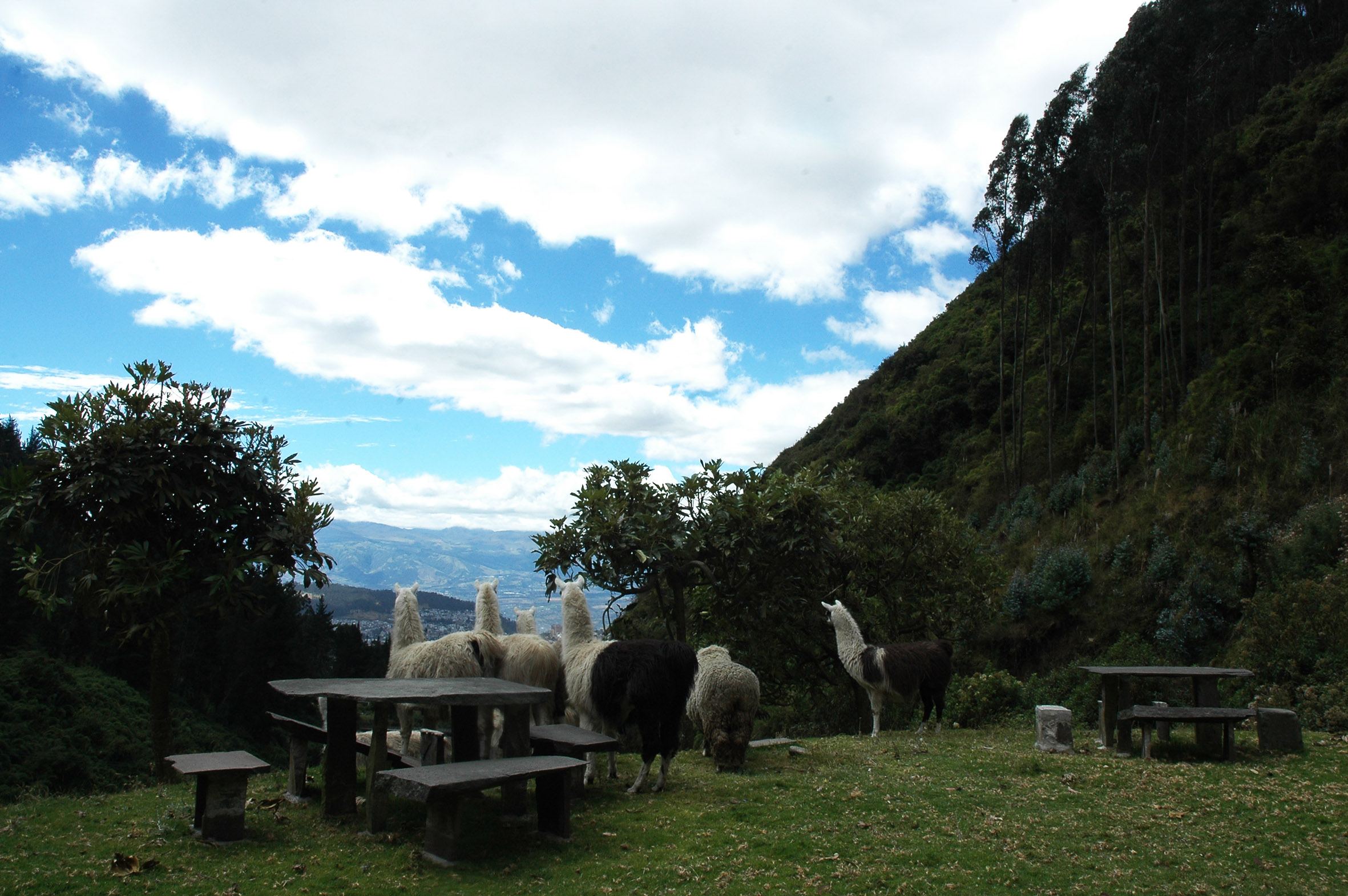 Hacienda Rumiloma