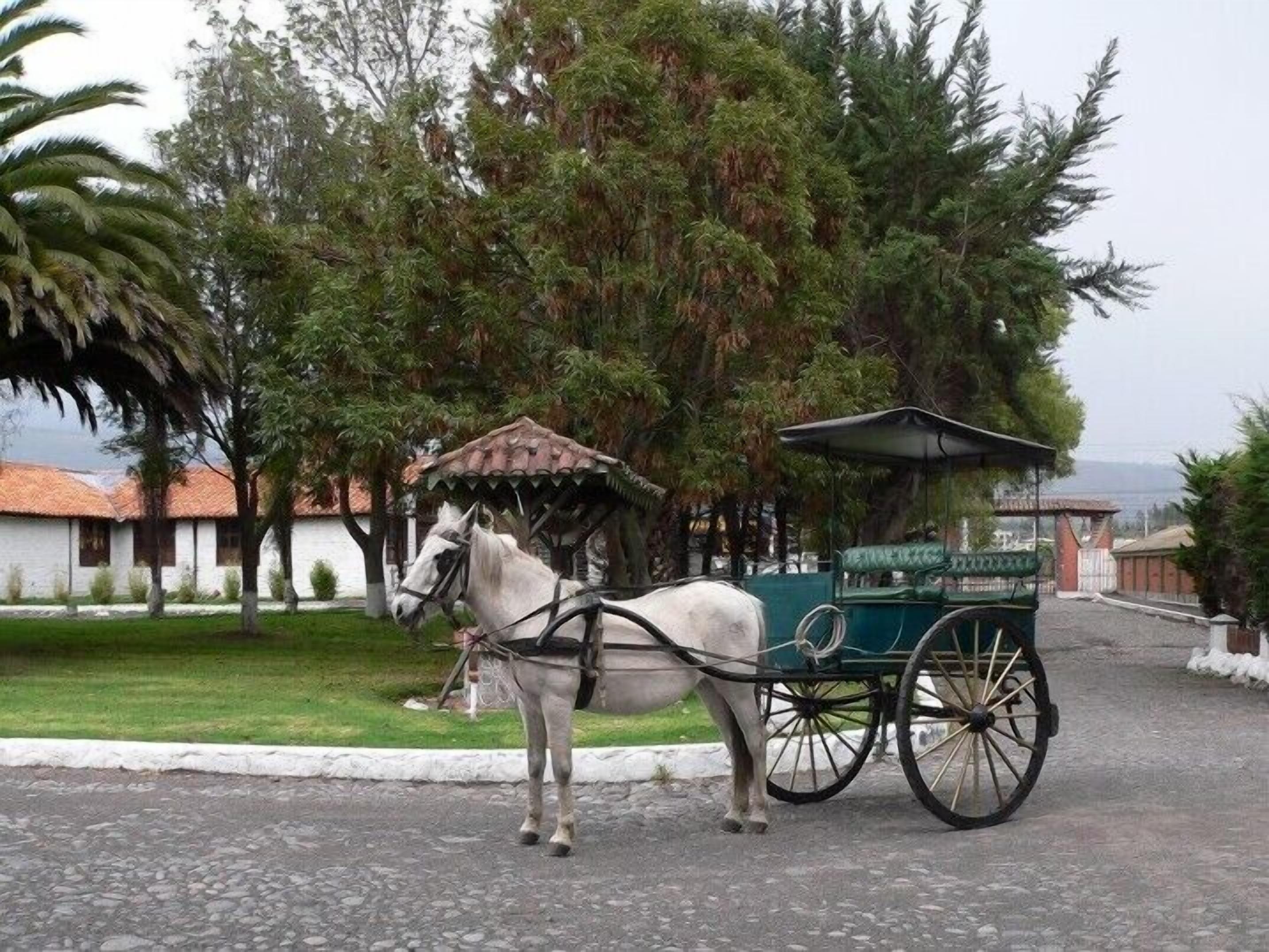 Hosteria Rumipamba de Las Rosas