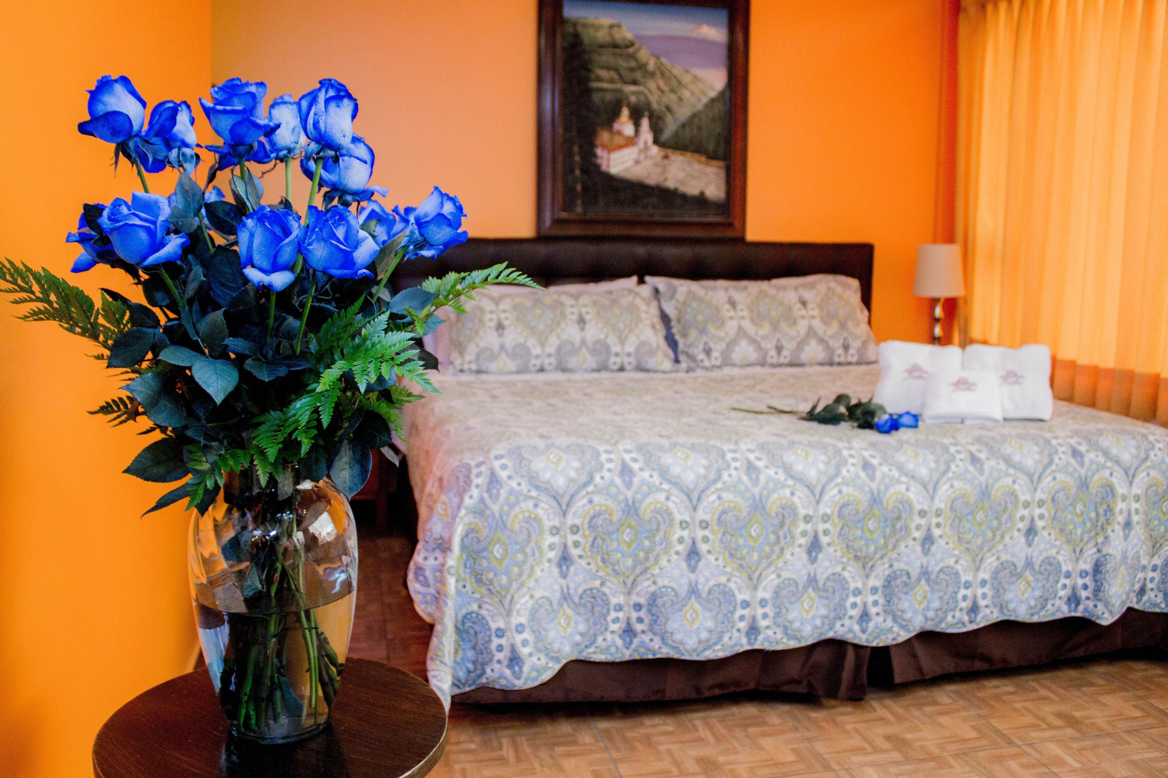 Hotel Baltico