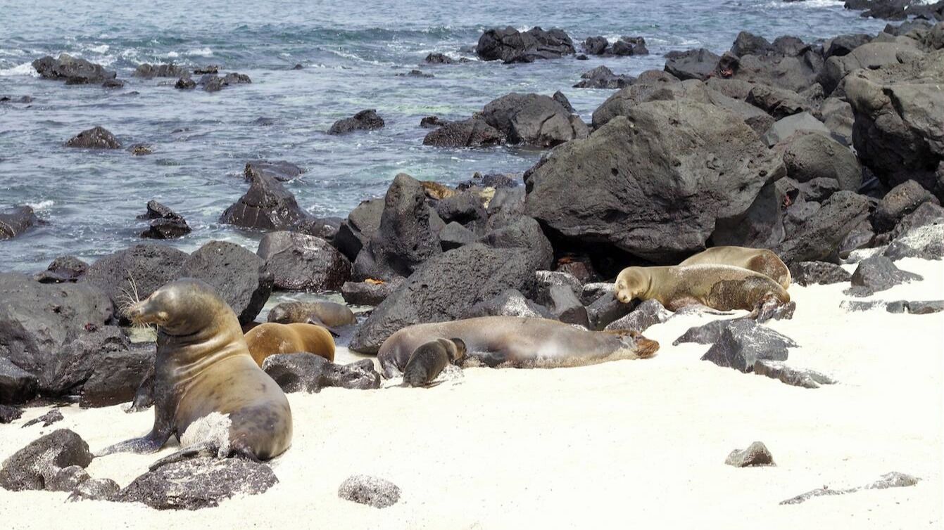 Golden Bay Hotel & Spa