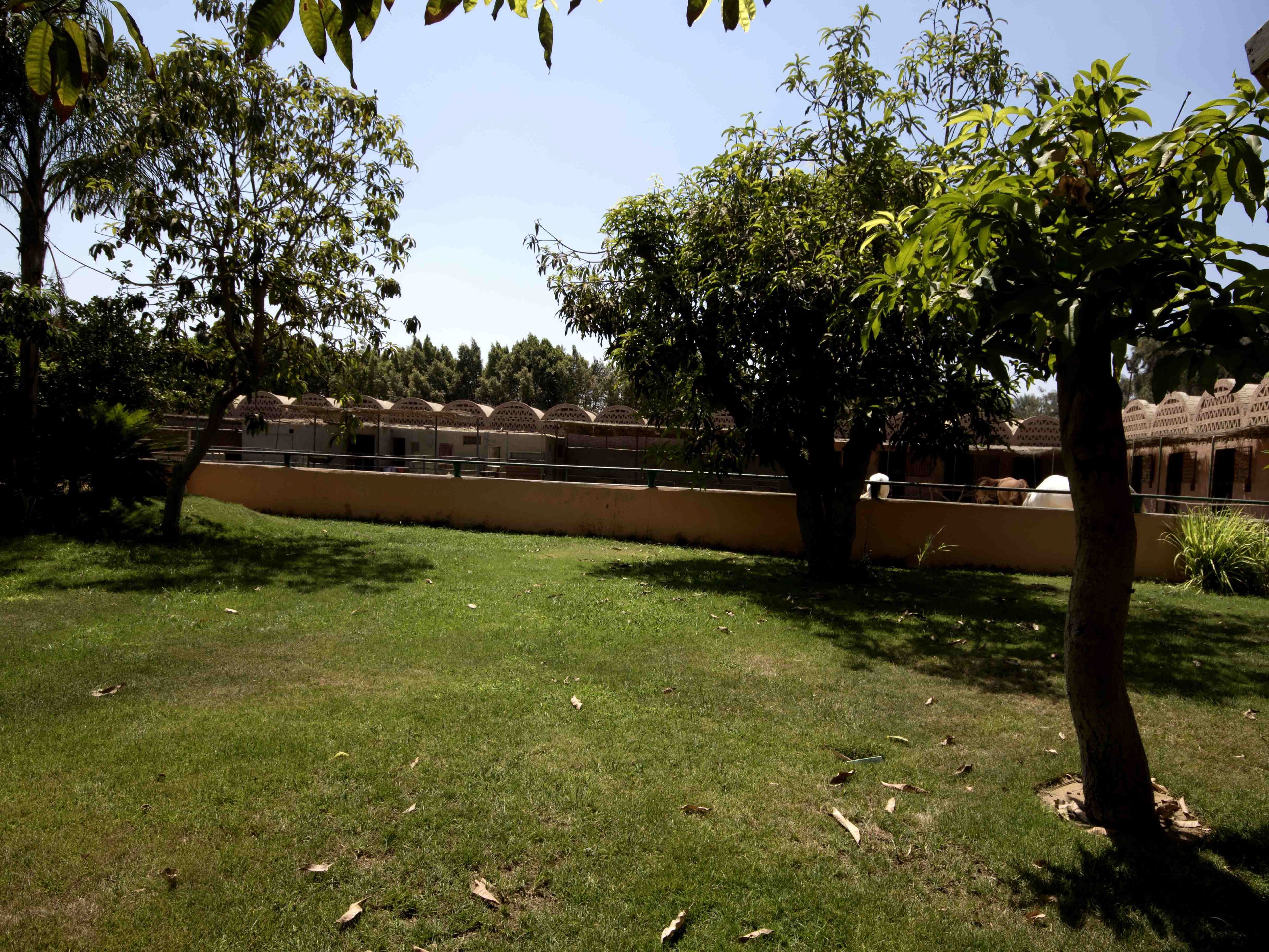 Equestrian Lodge - Pyramids Egypt