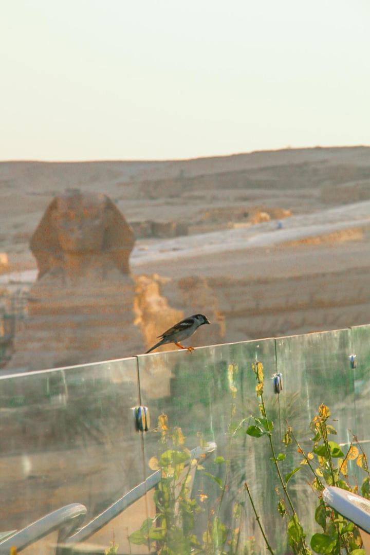 Pyramids Valley