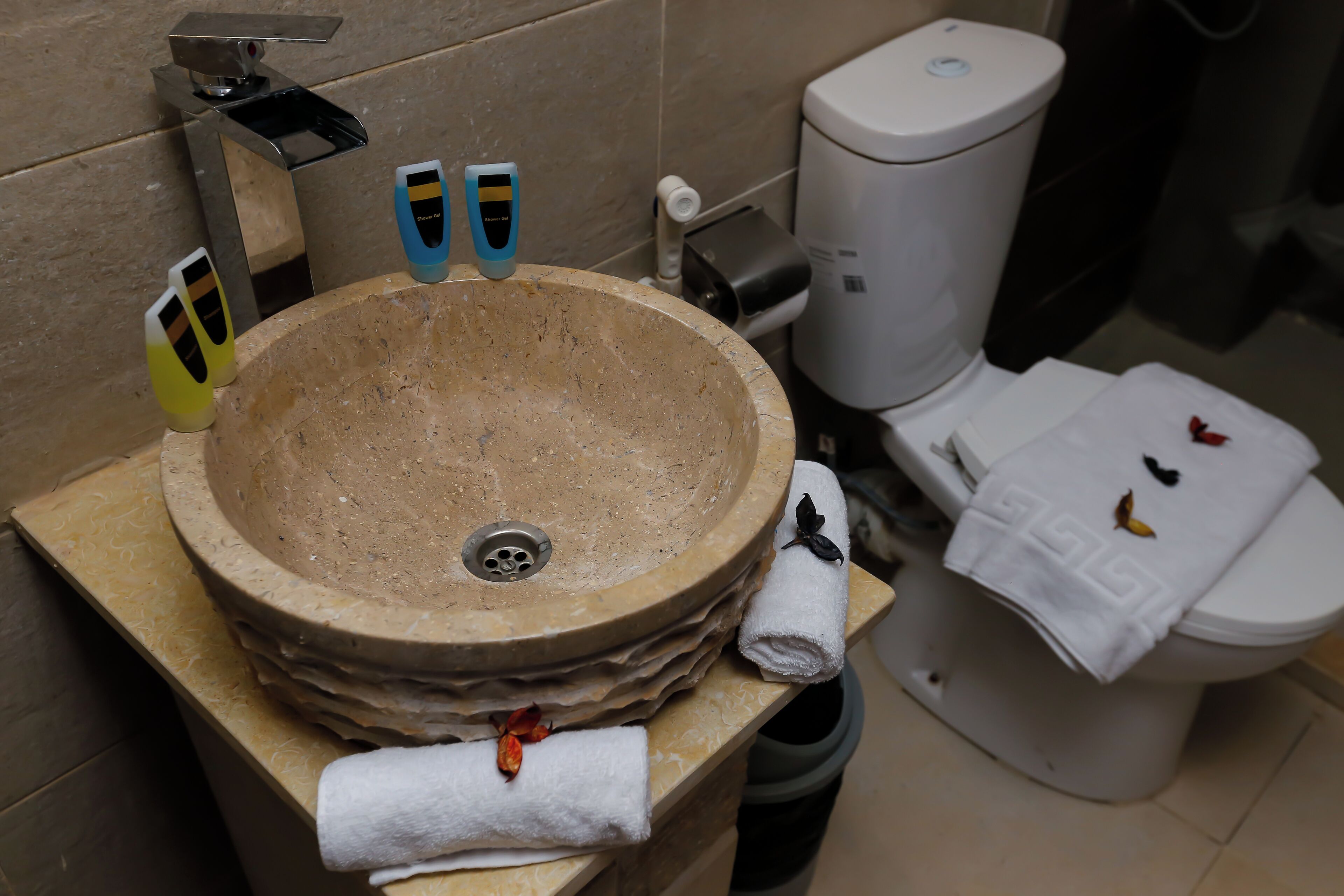 Taj Pyramids View Inn