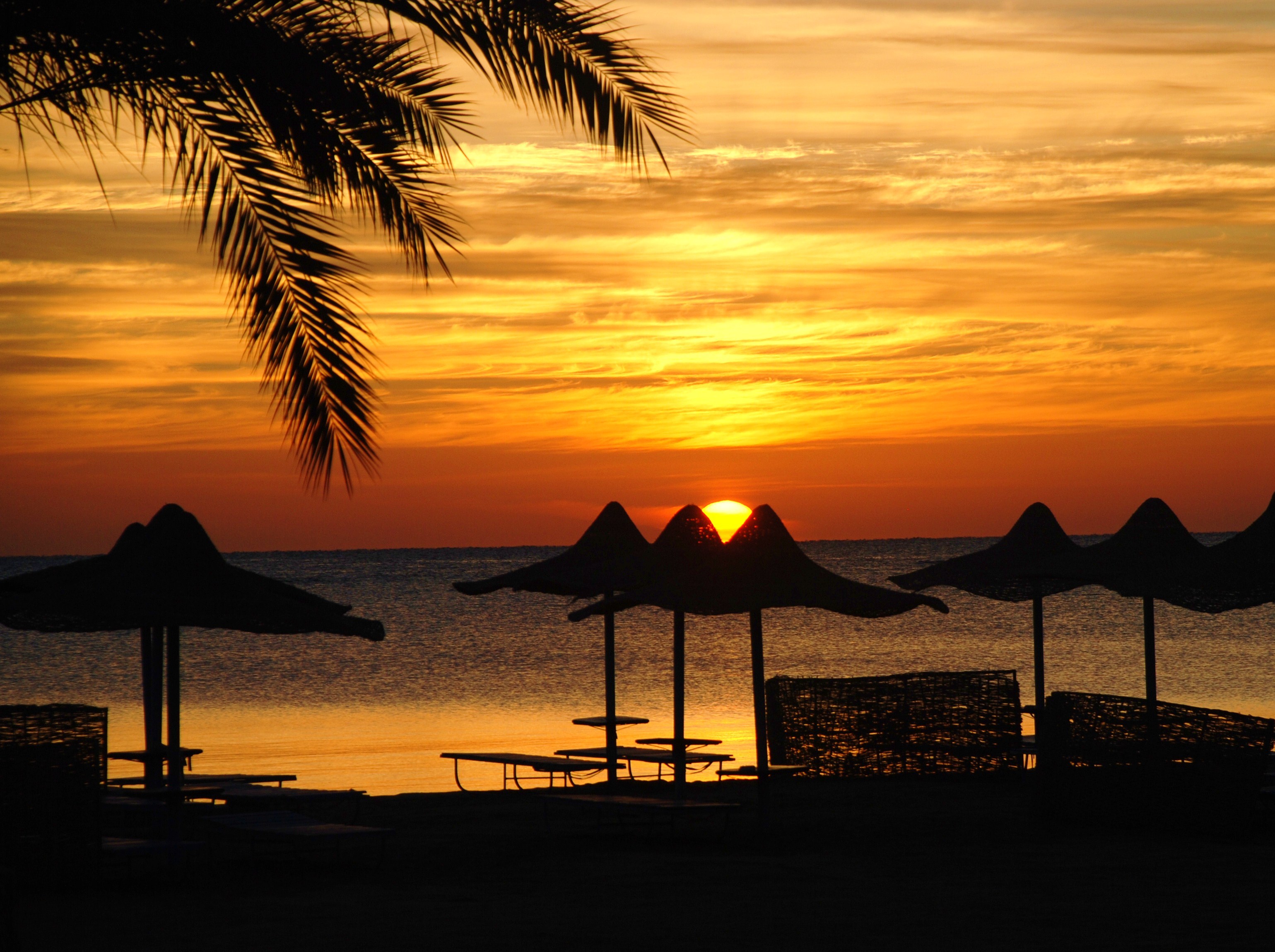Protels Crystal Beach Resort