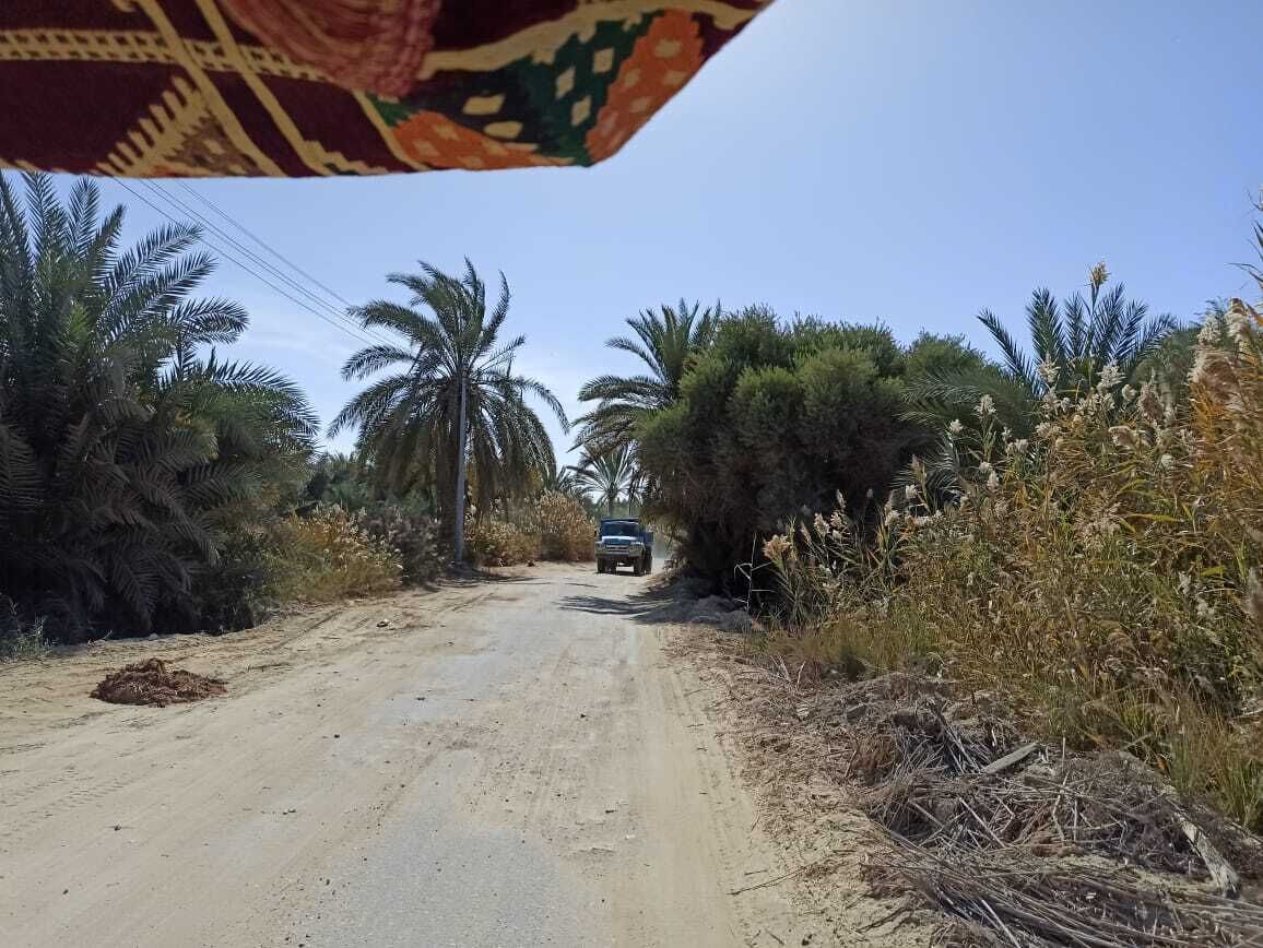 Al-Manara Hostel Siwa Oasis