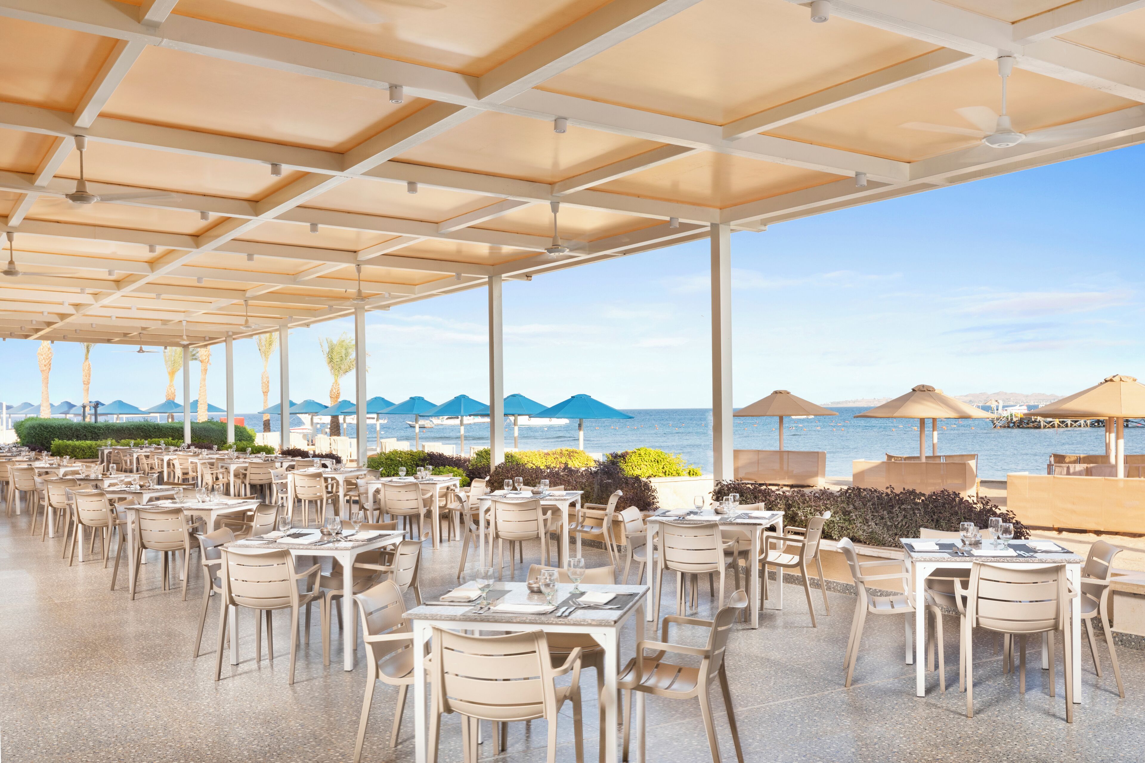 Beach Albatros Resort