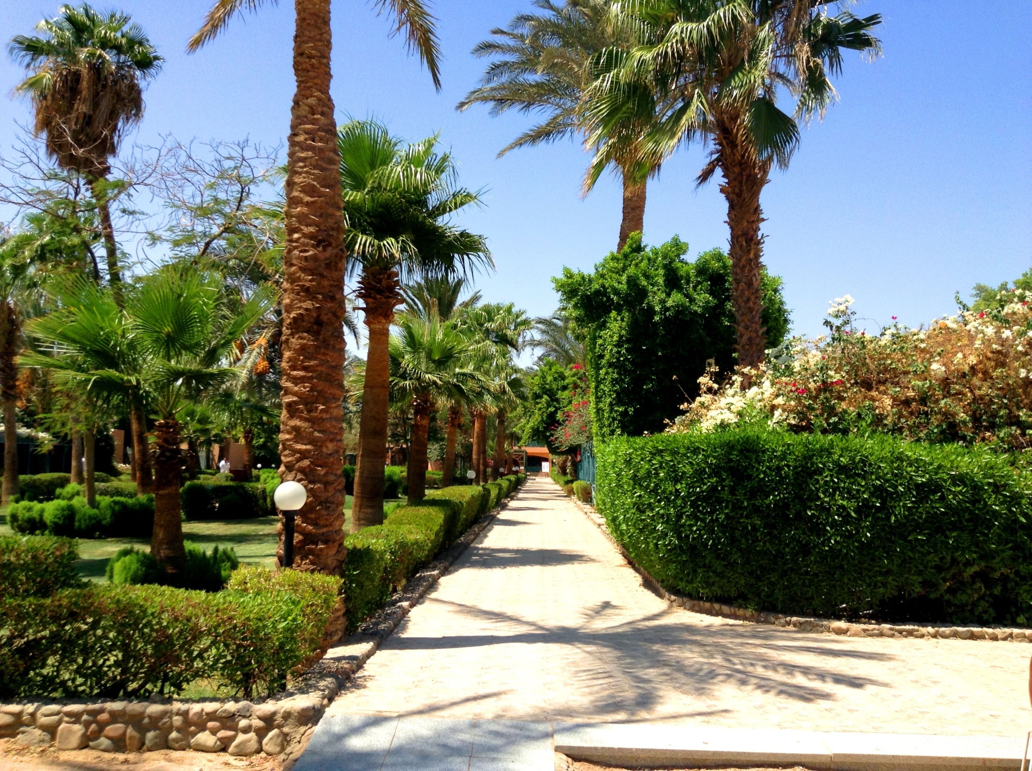 Giftun Azur Resort
