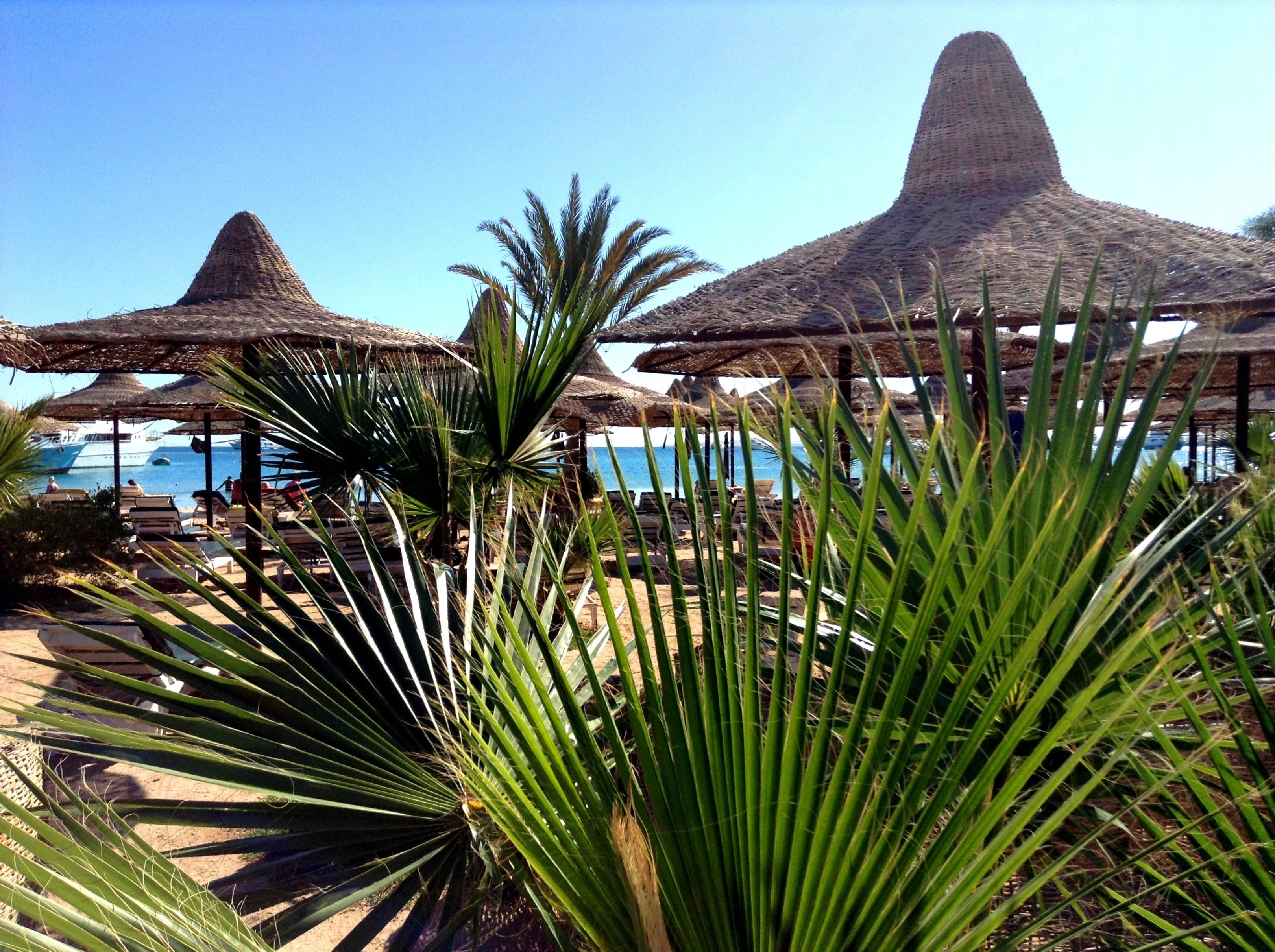 Giftun Azur Resort