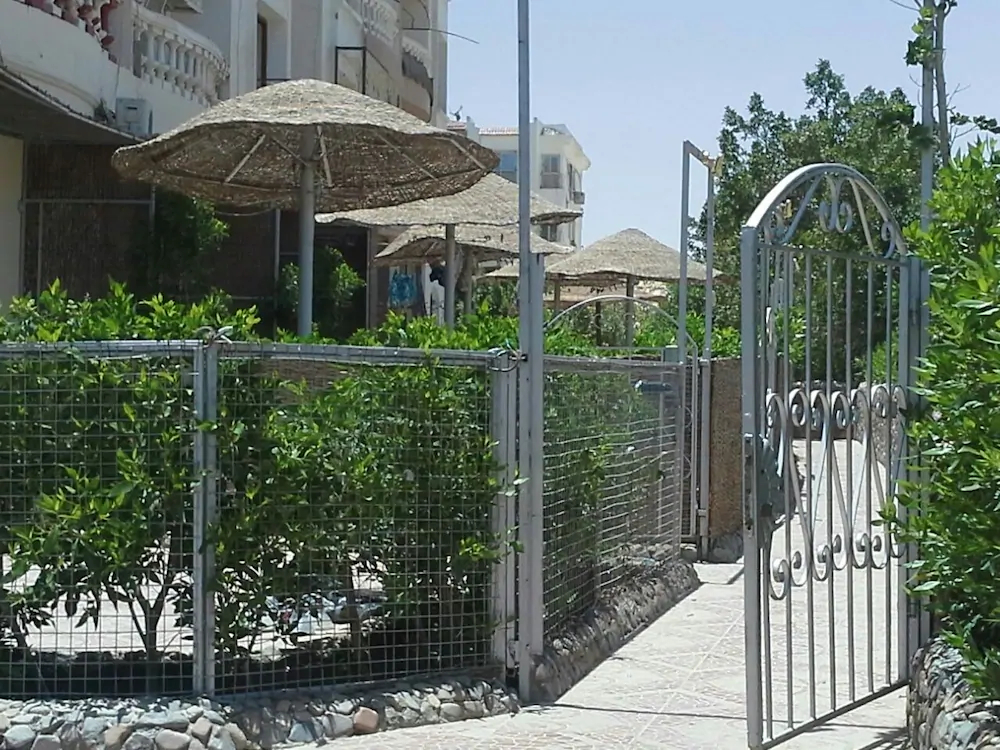 Green Garden Apartment