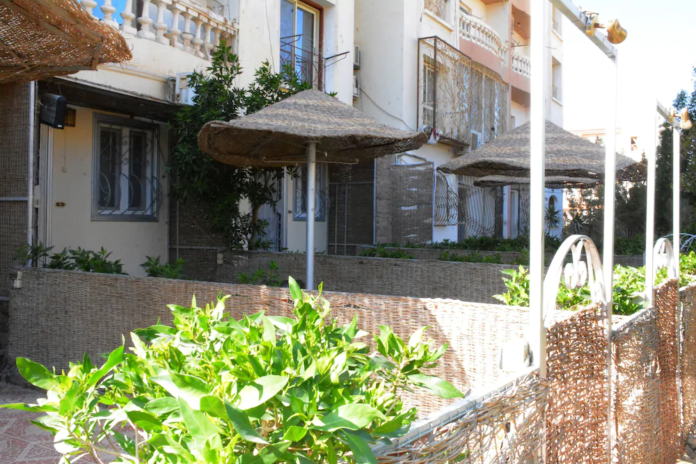 Green Garden Apartment