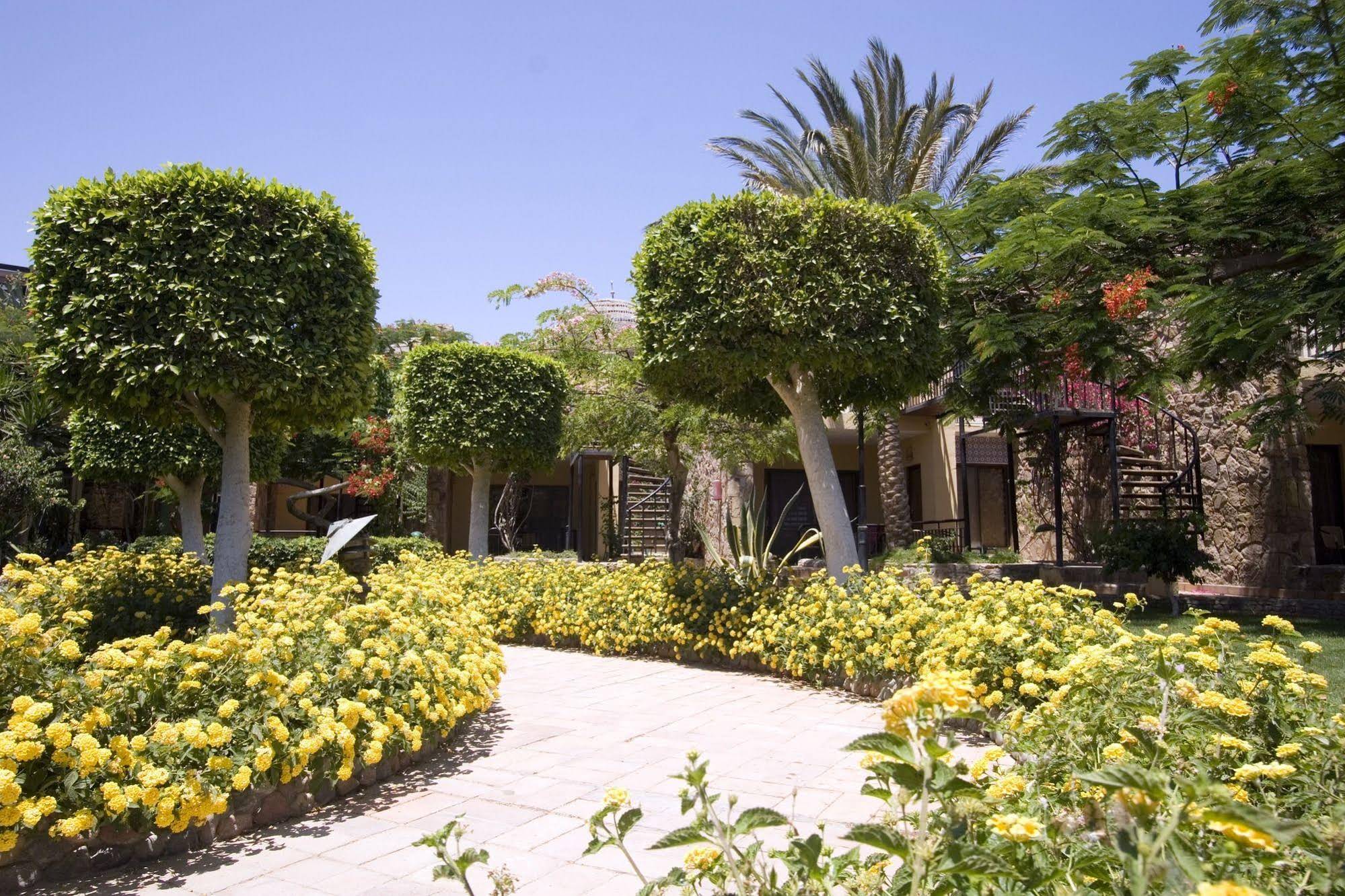ananea Hurghada