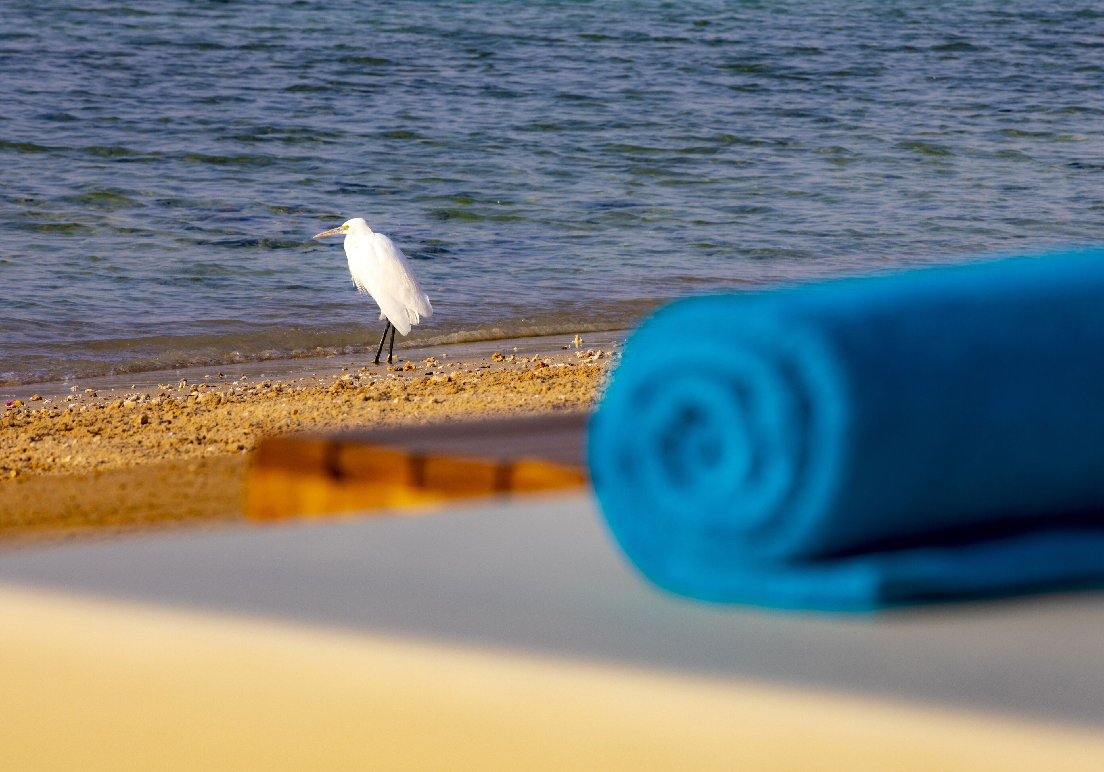 Zen Resort Sahl Hasheesh by TBH Hotels