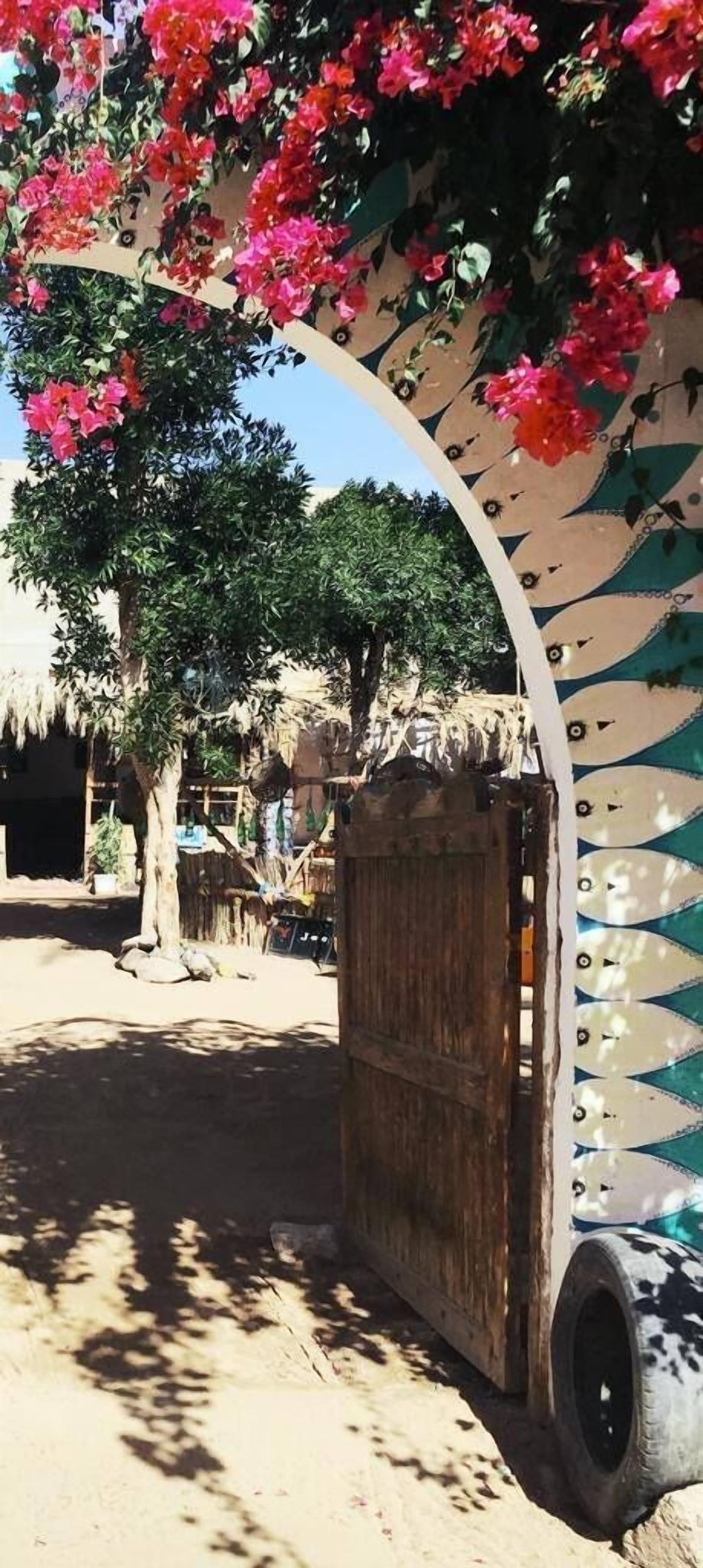 Sunrise Dahab Camp