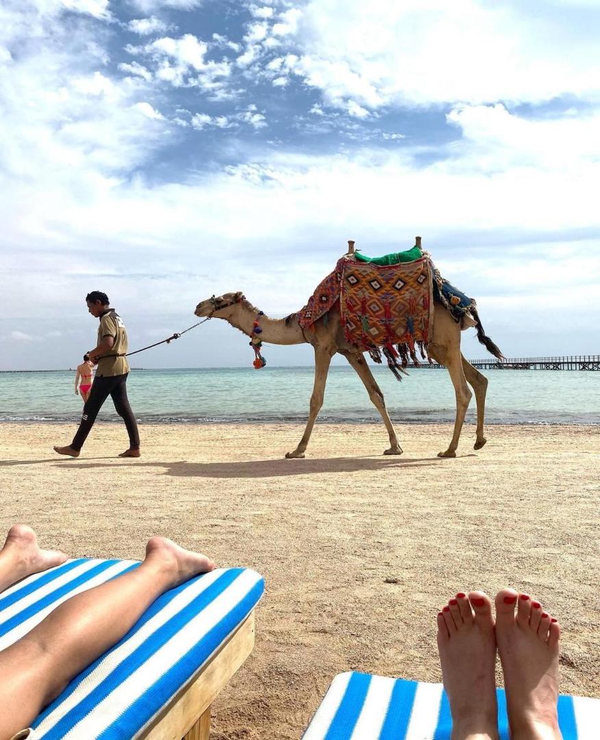 Romance Regency Club