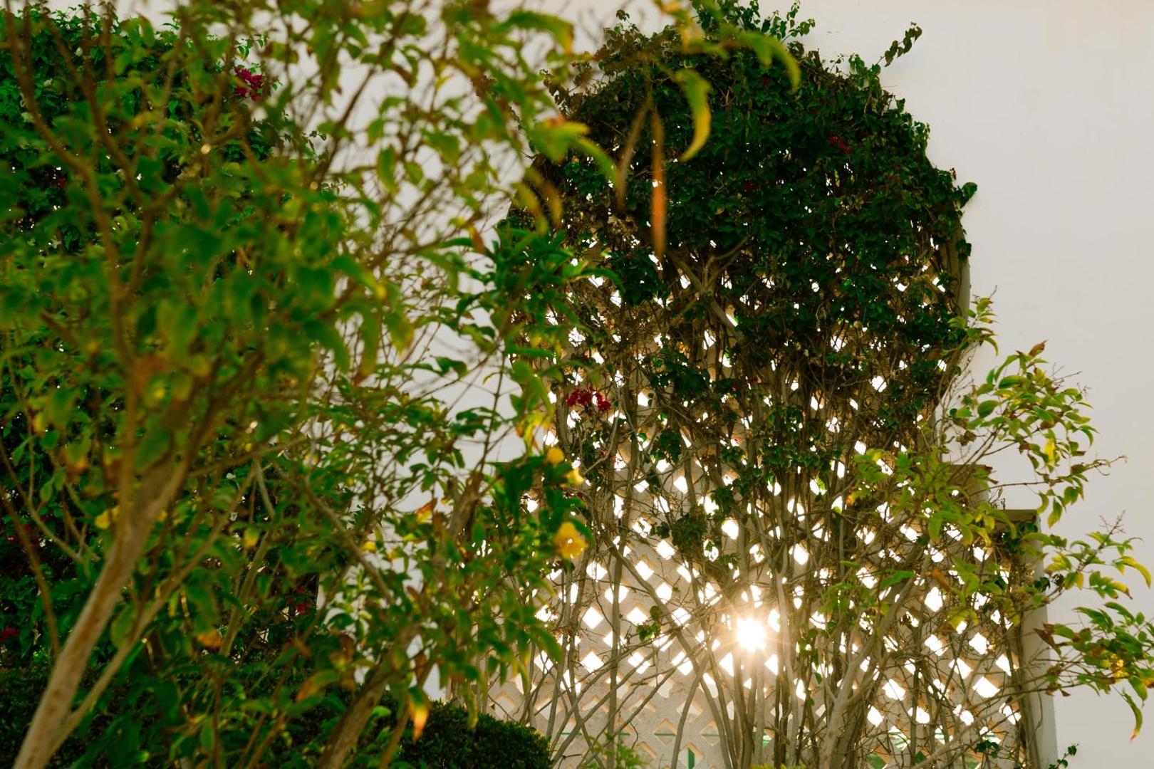 Baron Palms Sharm El Sheikh