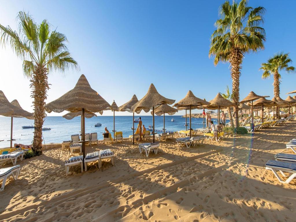 Concorde El Salam Hotel Sharm El Sheikh by Royal Tulip