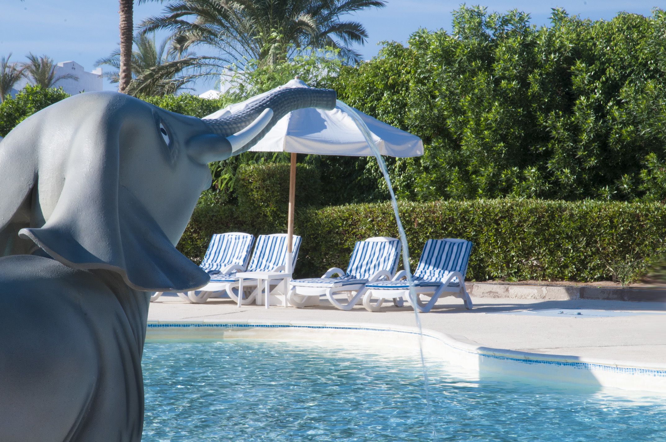 Continental Plaza Beach Resort