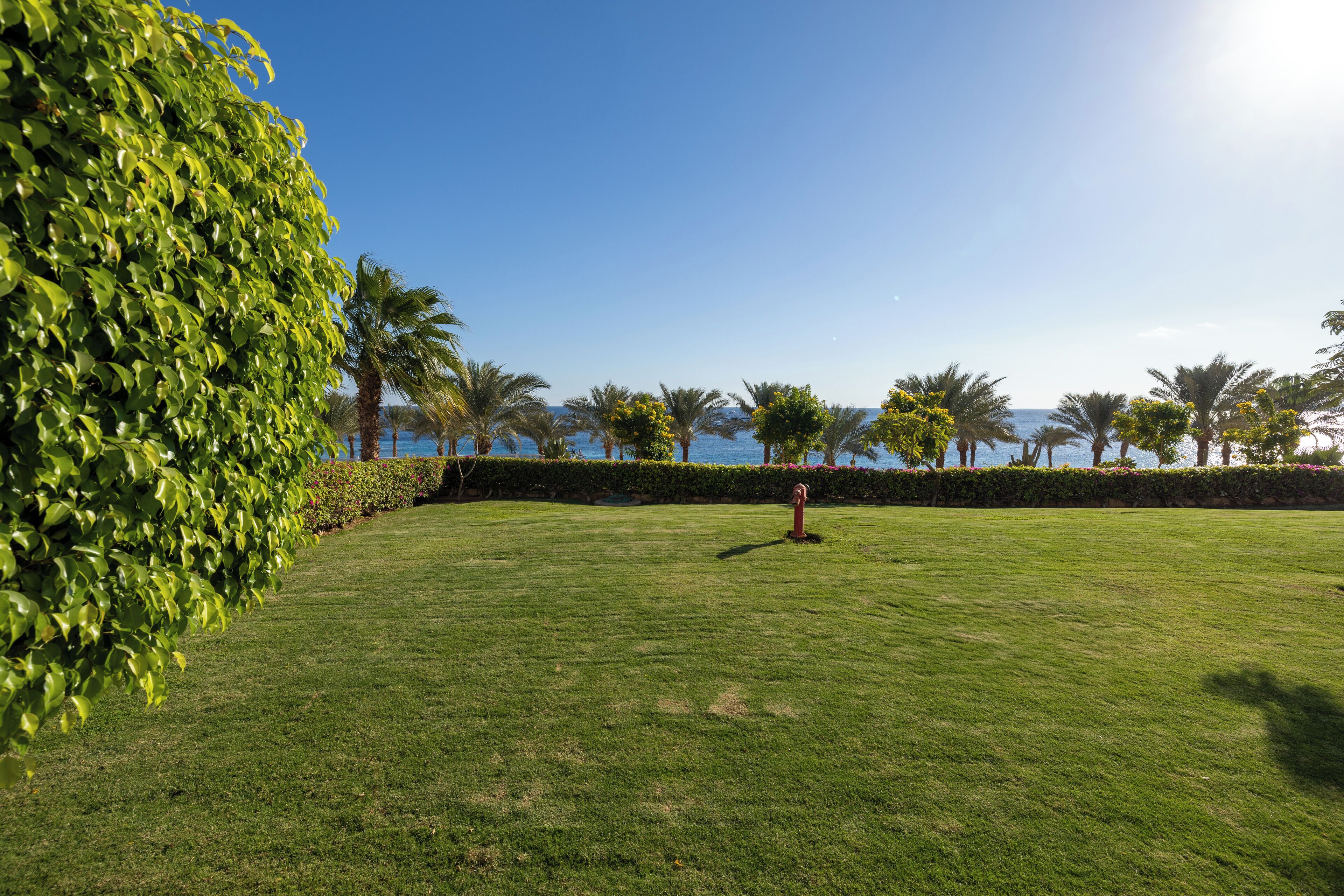 Continental Plaza Beach Resort