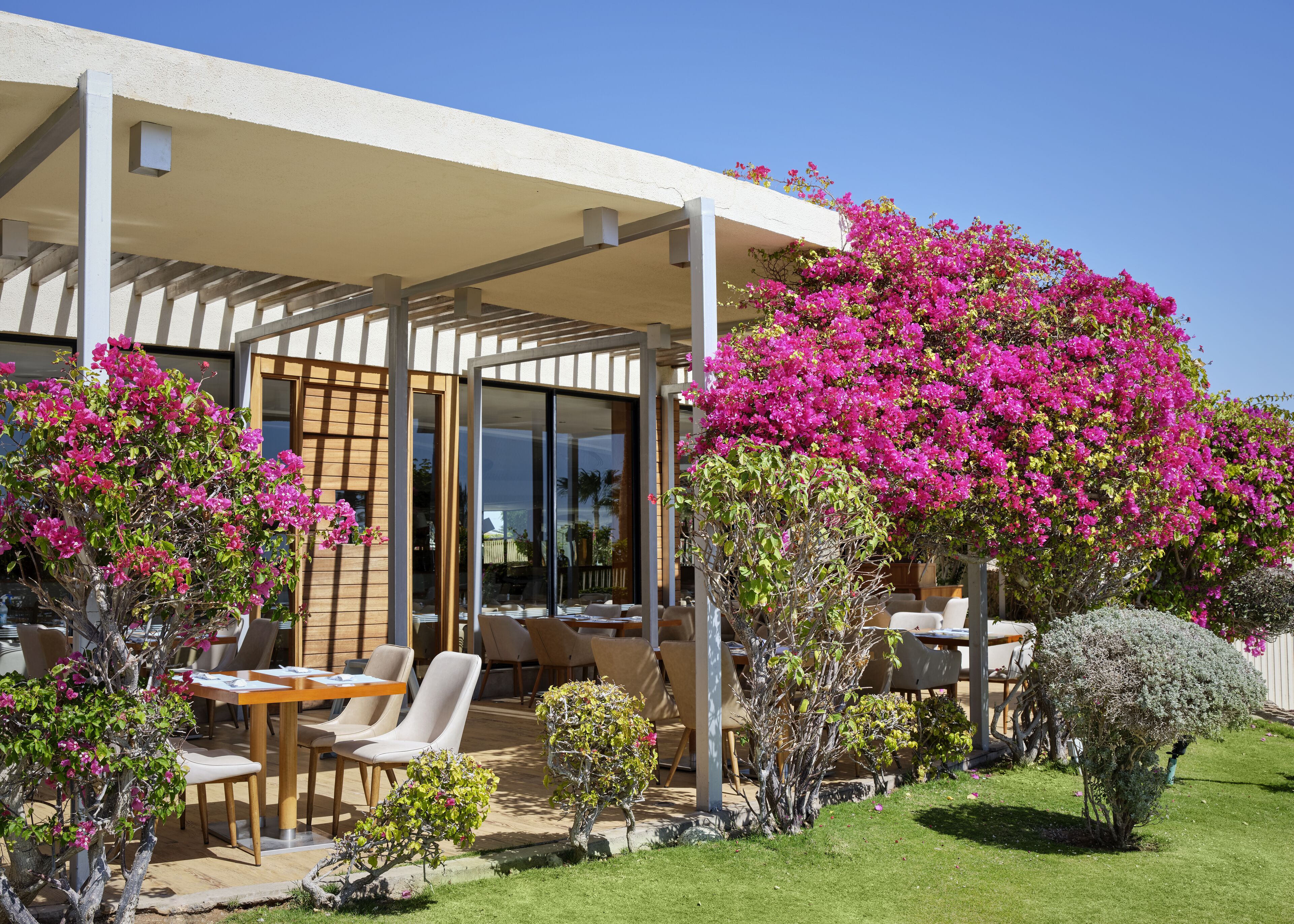 Coral Sea Imperial Sensatori Resort