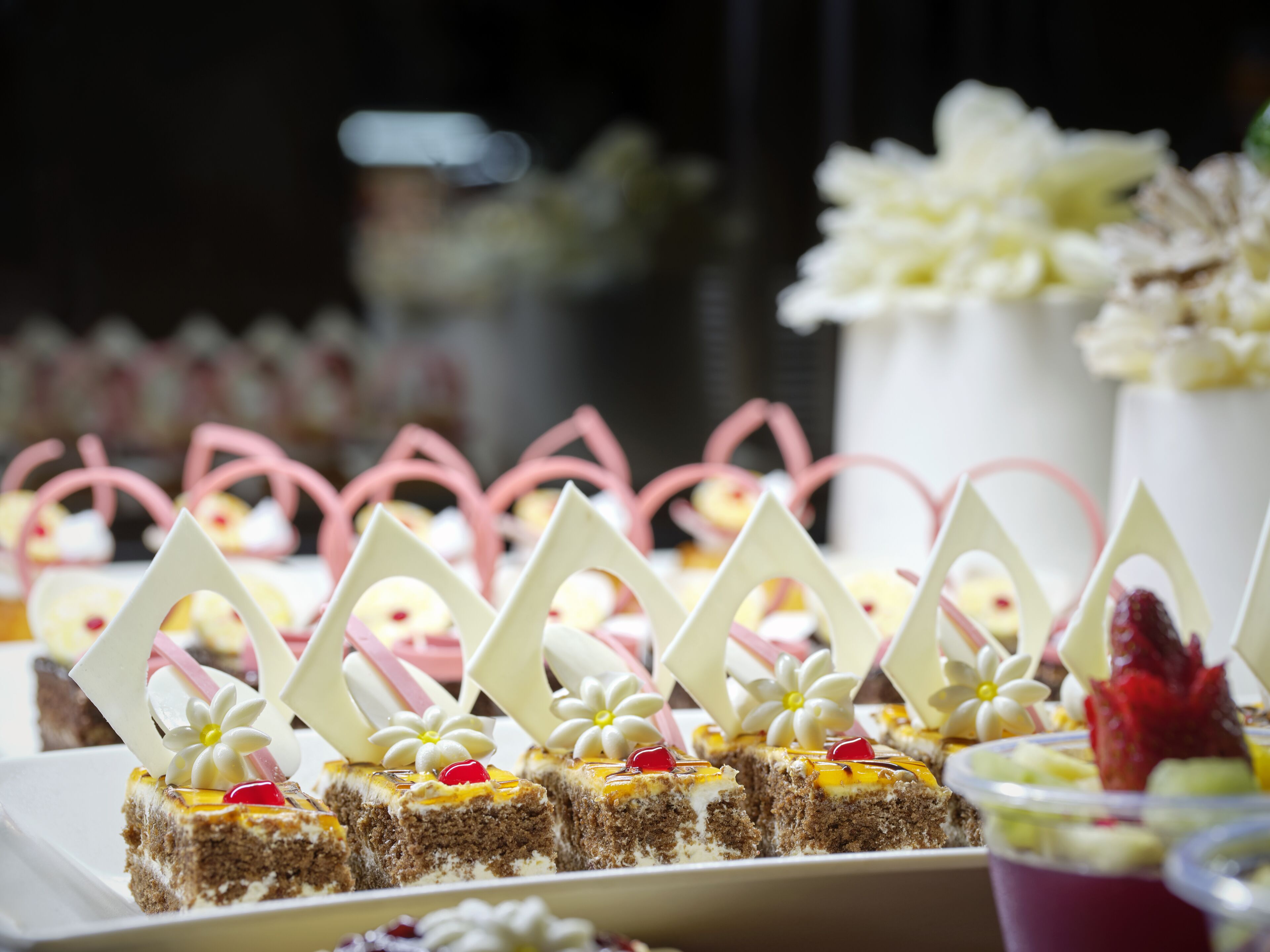 Coral Sea Waterworld