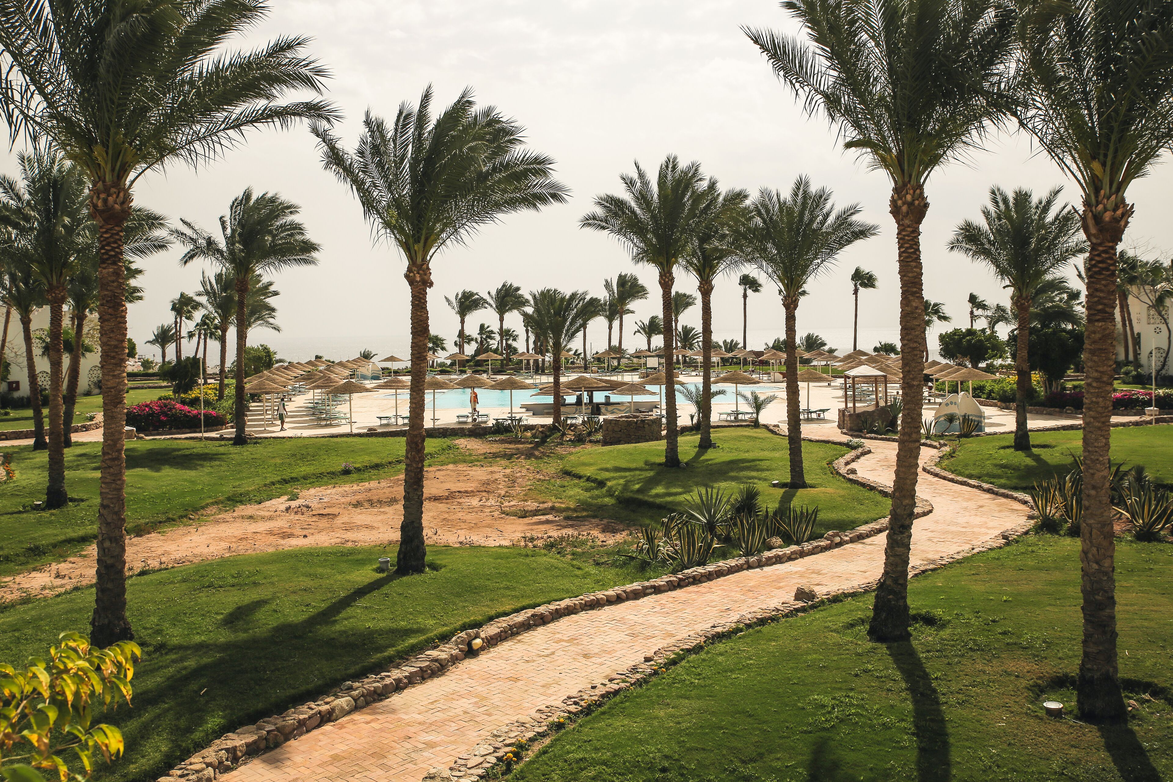 Domina Coral Bay Resort, Diving, SPA & Casino