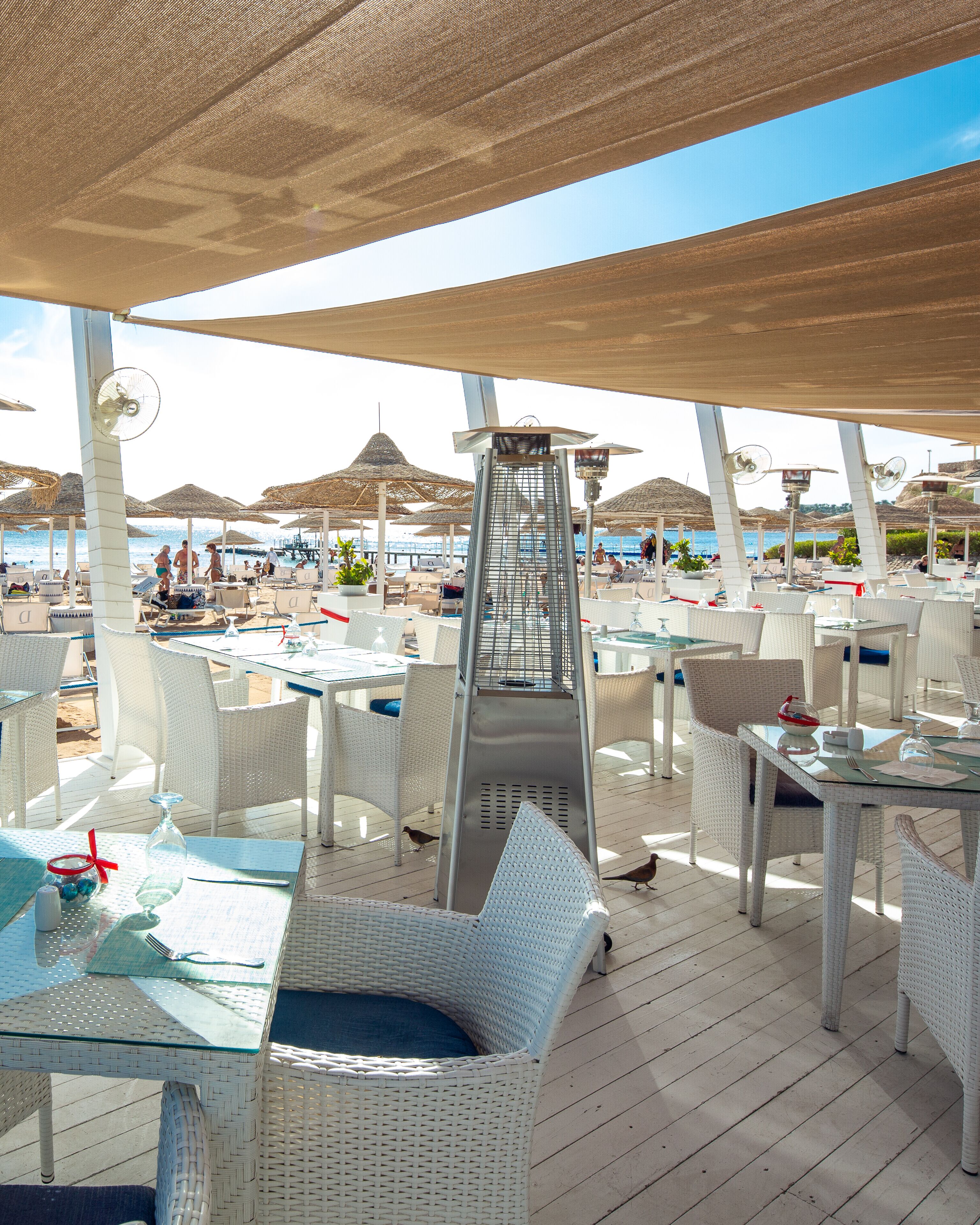 Domina Coral Bay Harem