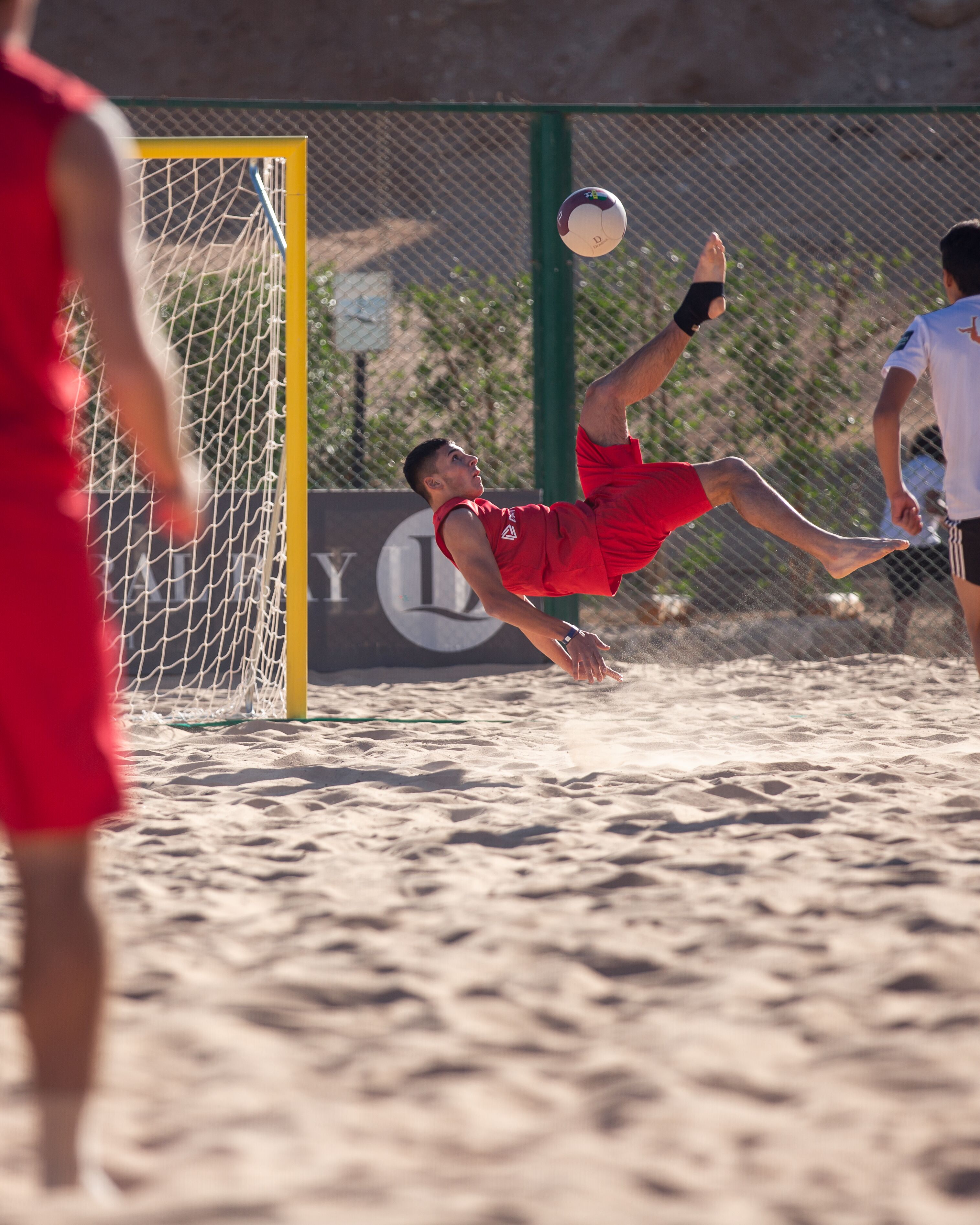 Domina Coral Bay Harem