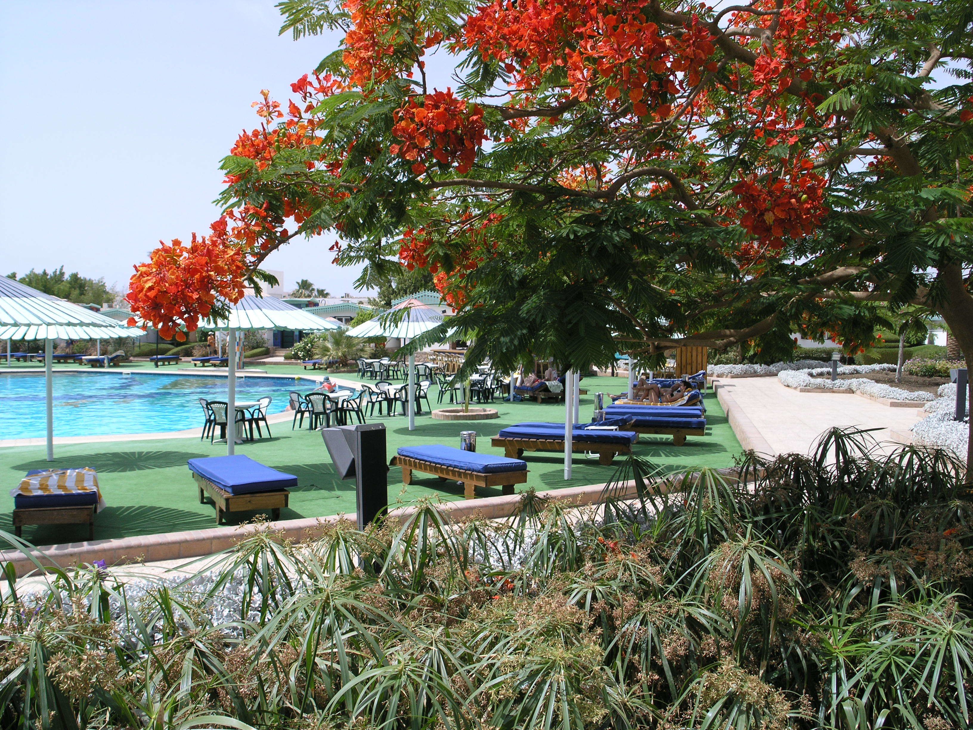 Ghazala Beach Hotel