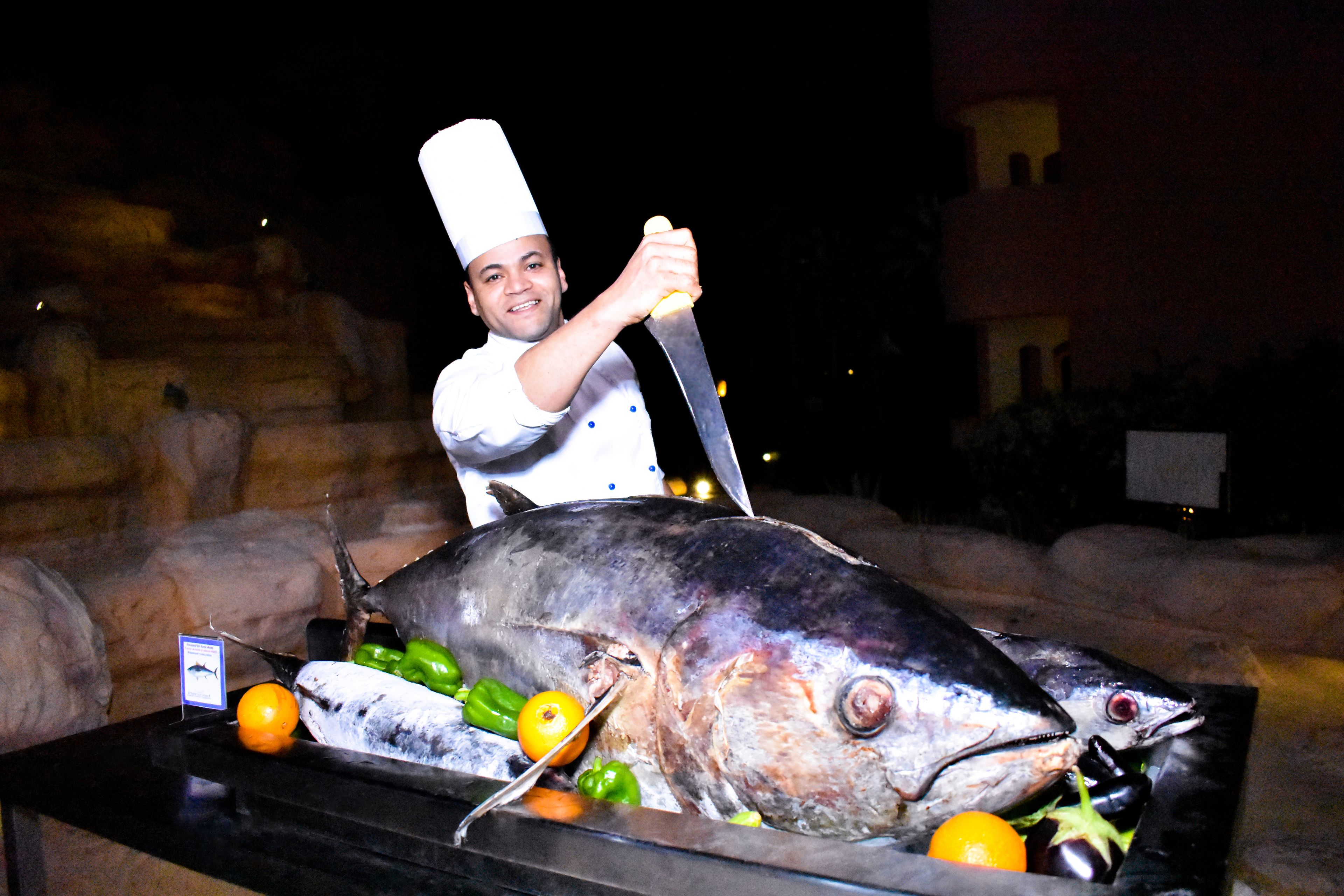 Parrotel Aqua Park Resort