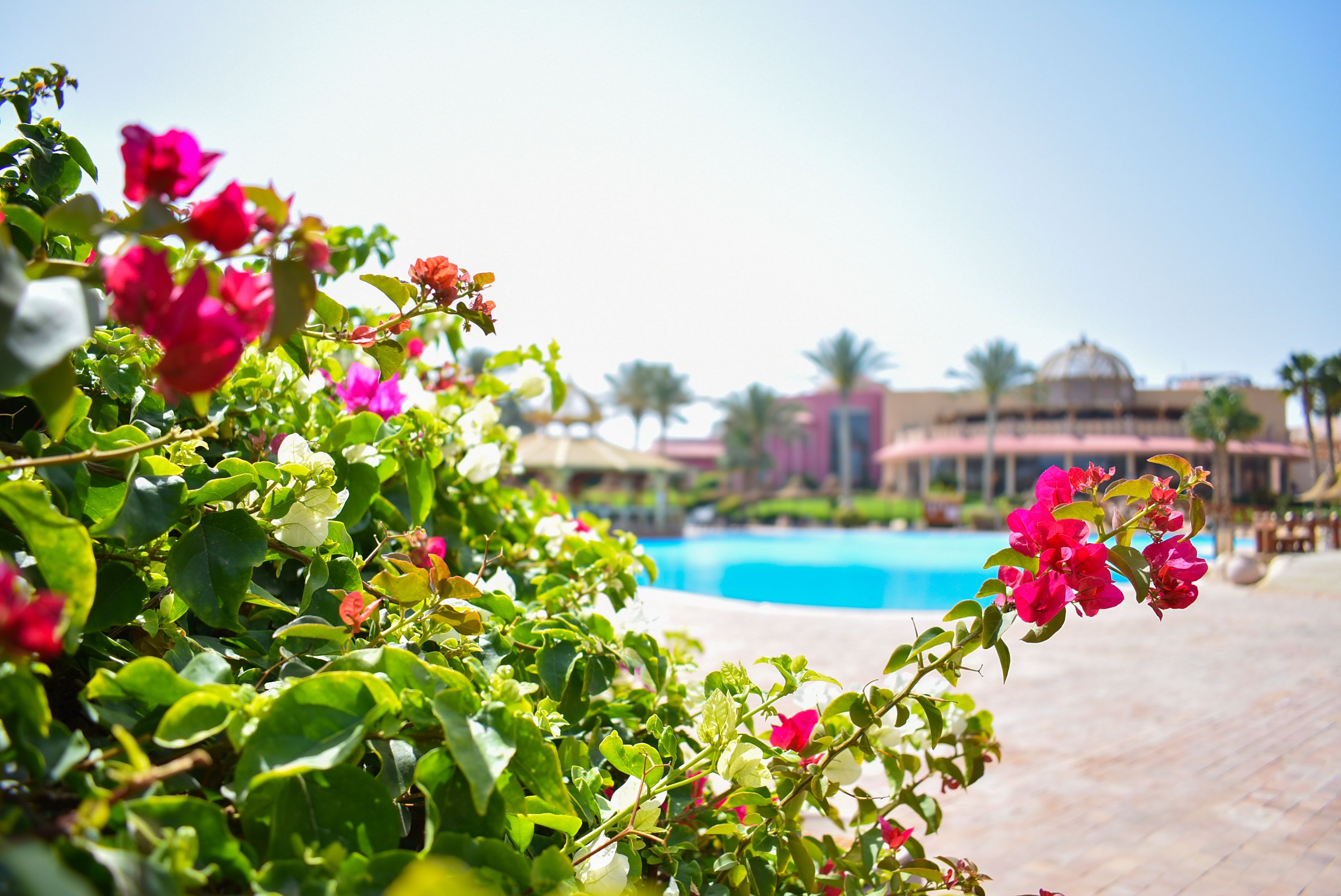 Parrotel Aqua Park Resort