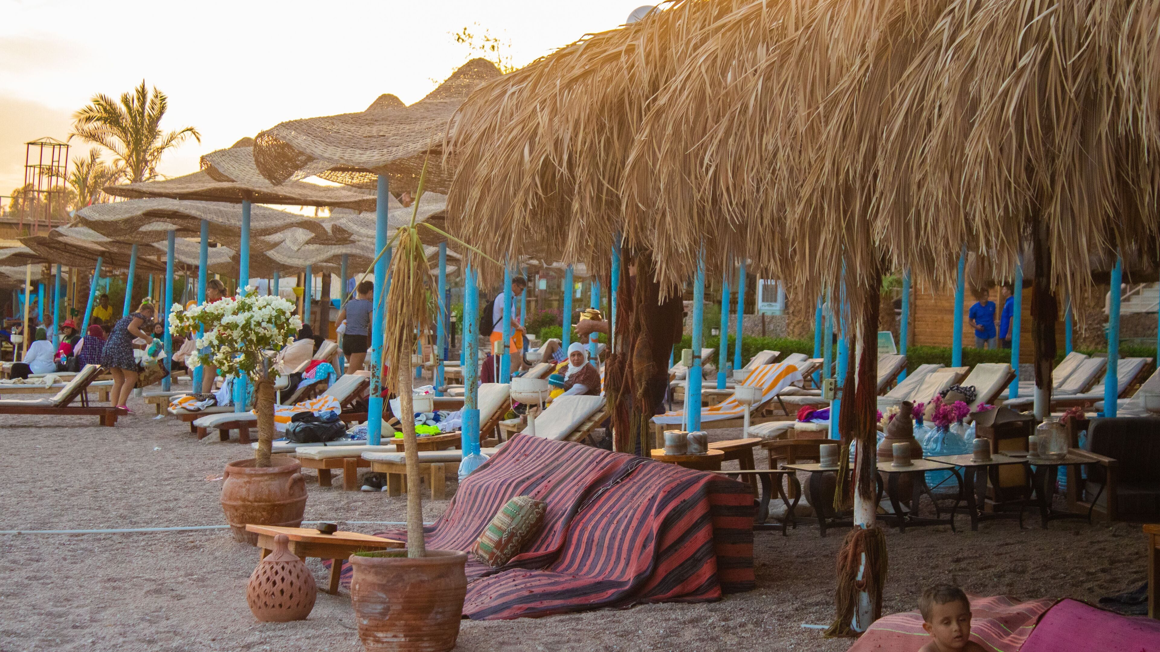 Sharks Bay Hotel & Padi Butterfly