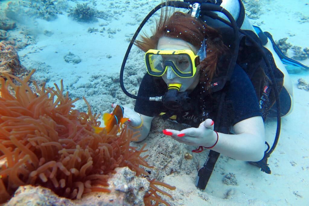 Sharks Bay Hotel & Padi Butterfly