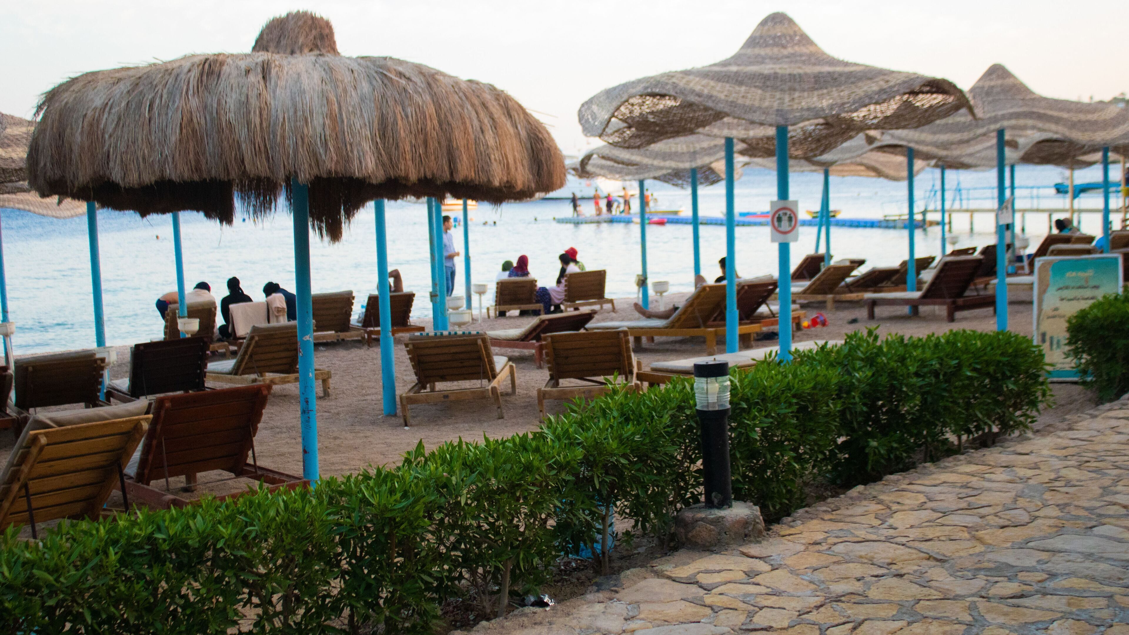 Sharks Bay Hotel & Padi Butterfly