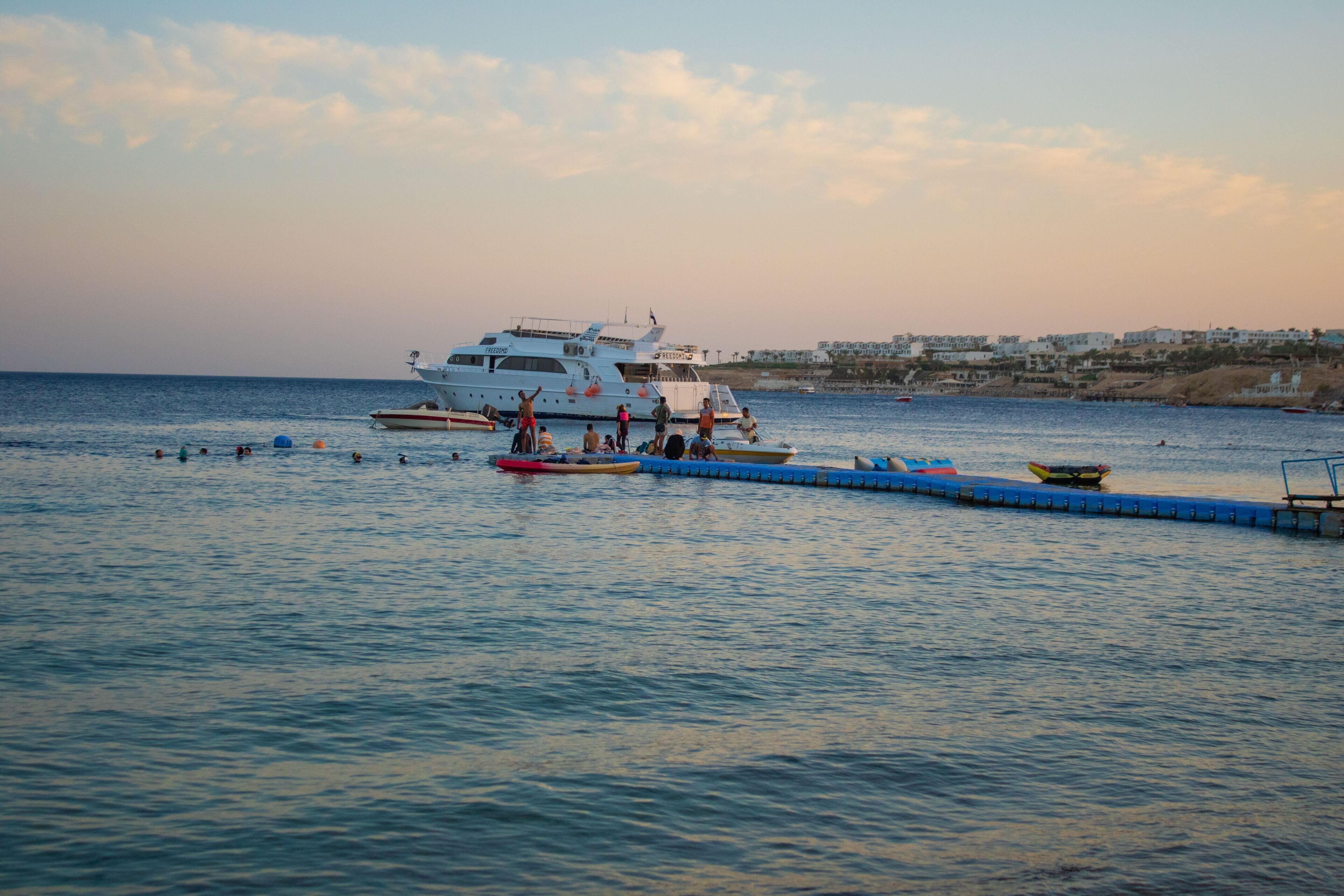 Sharks Bay Hotel & Padi Butterfly
