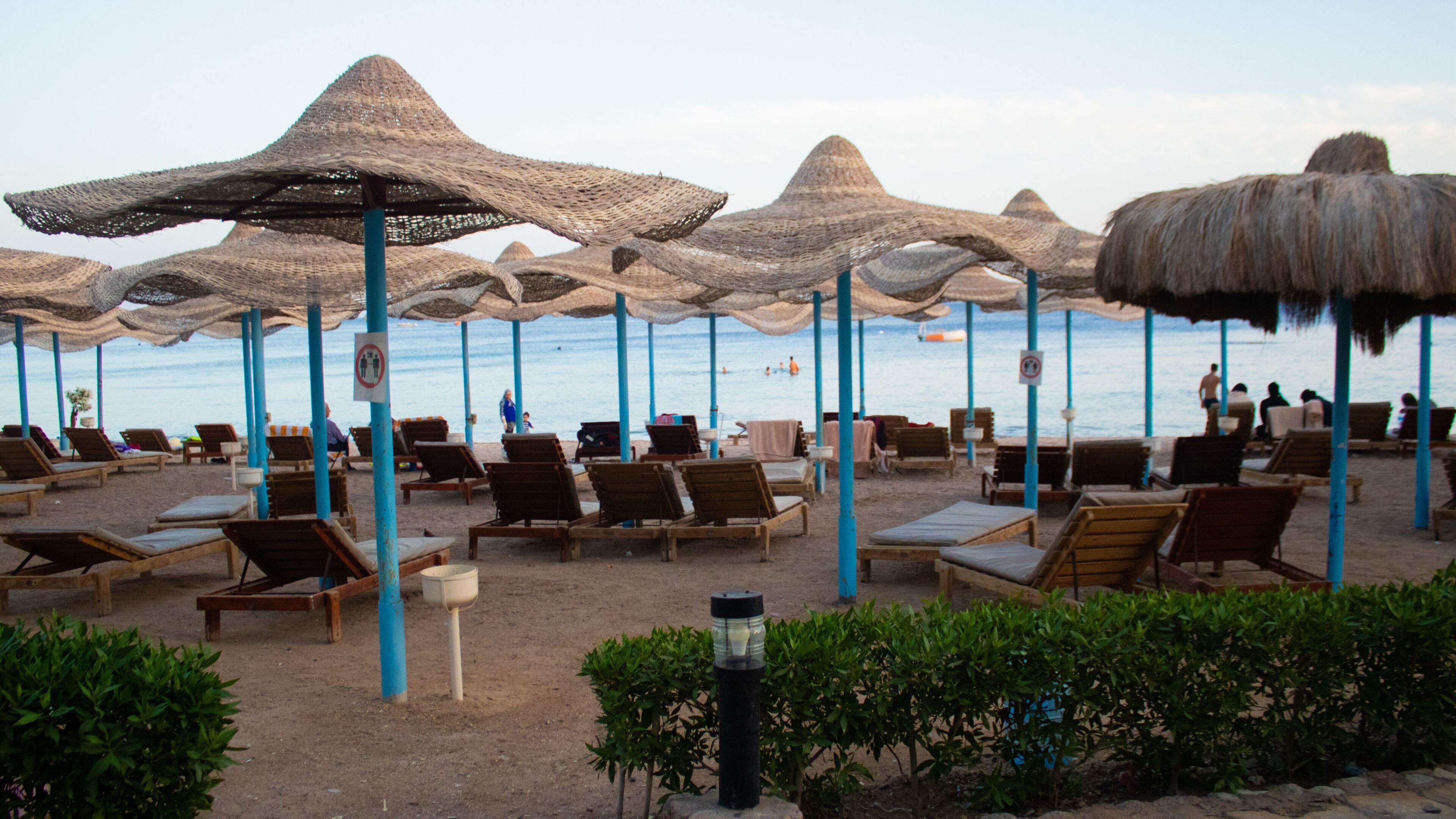 Sharks Bay Hotel & Padi Butterfly